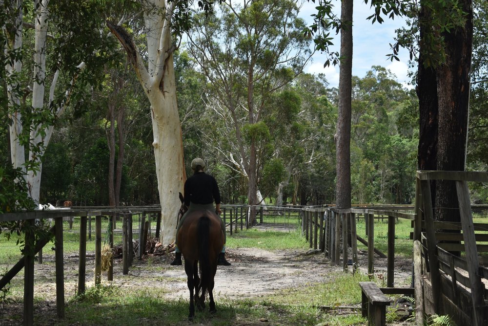 Sunshine Riding Centre
