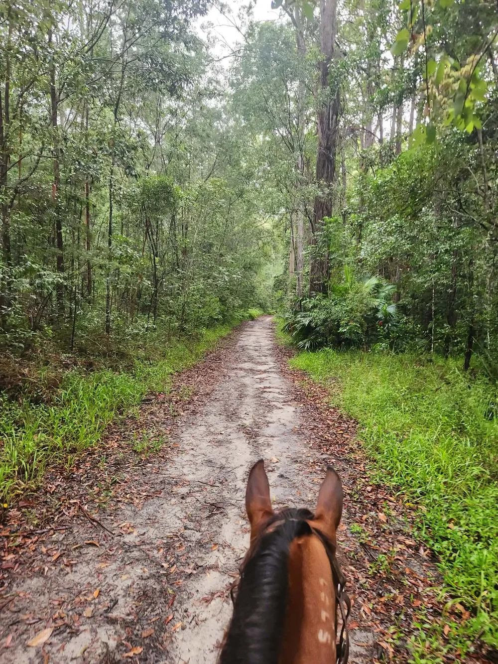 Sunshine Riding Centre