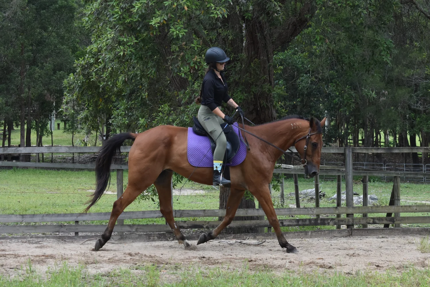 Sunshine Riding Centre