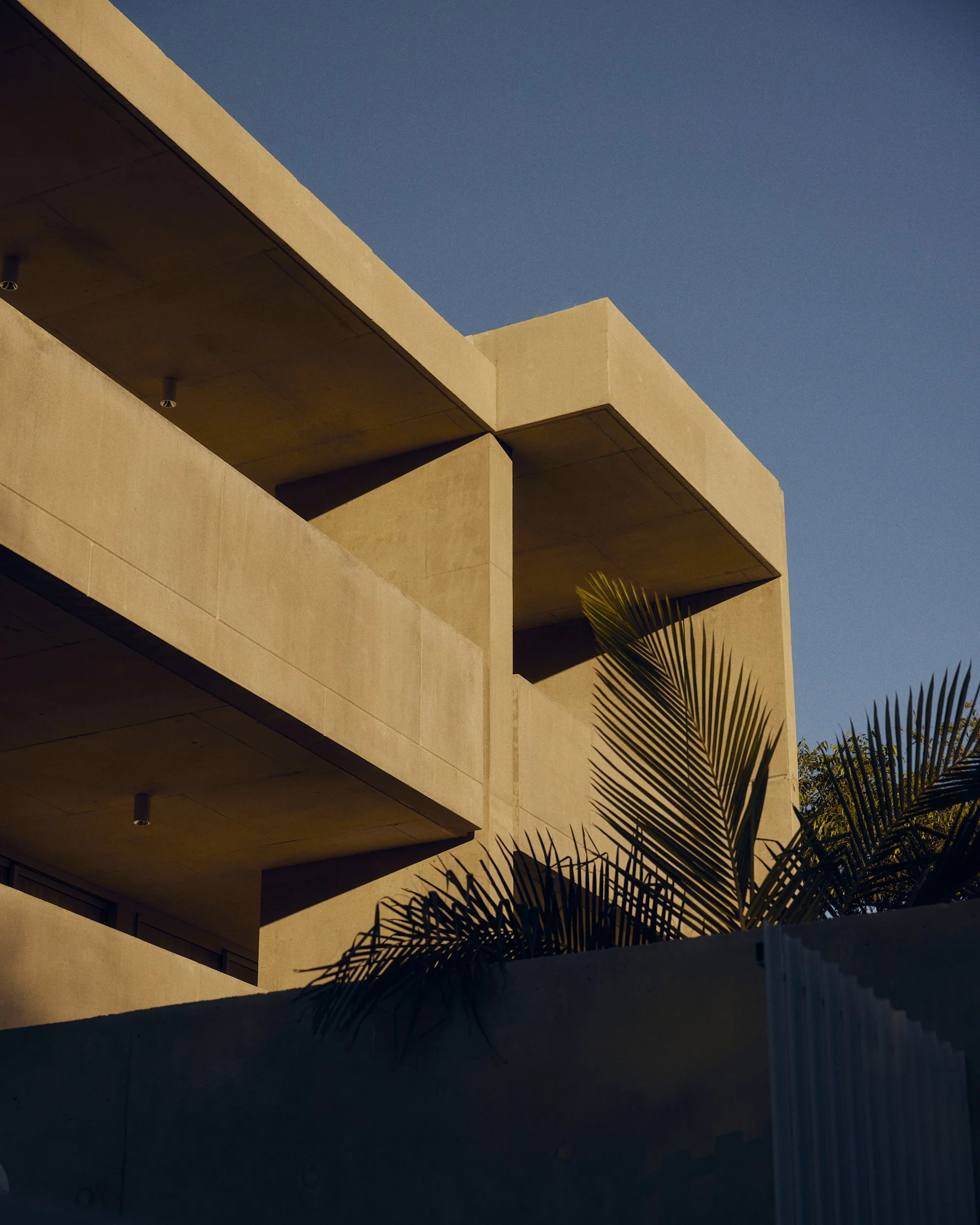 TheBonobo_MID_013.jpg