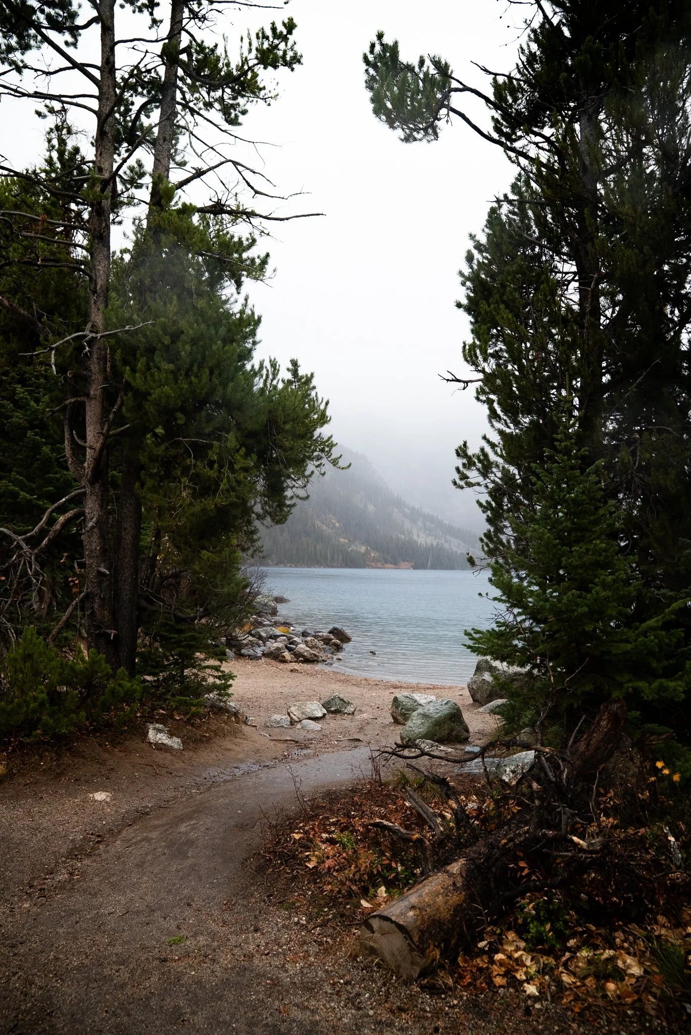 DSC04644.jpg