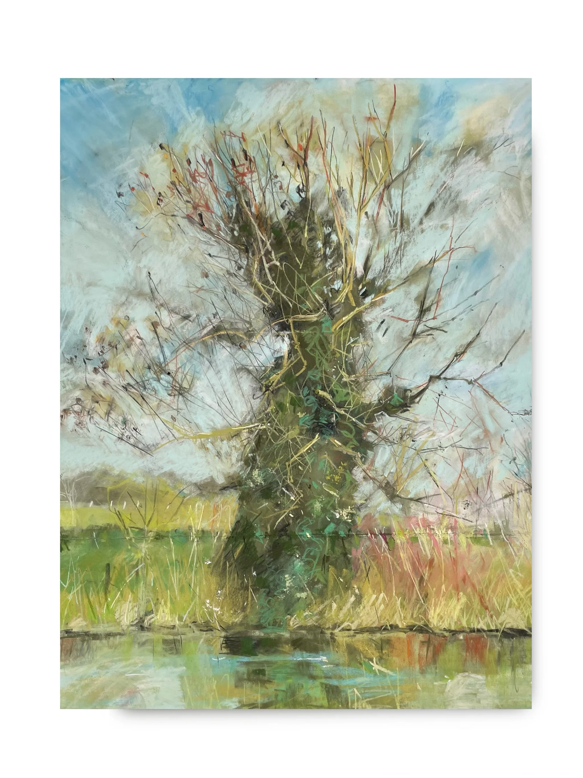 Untitled - 11 November 2025 19.00.jpeg