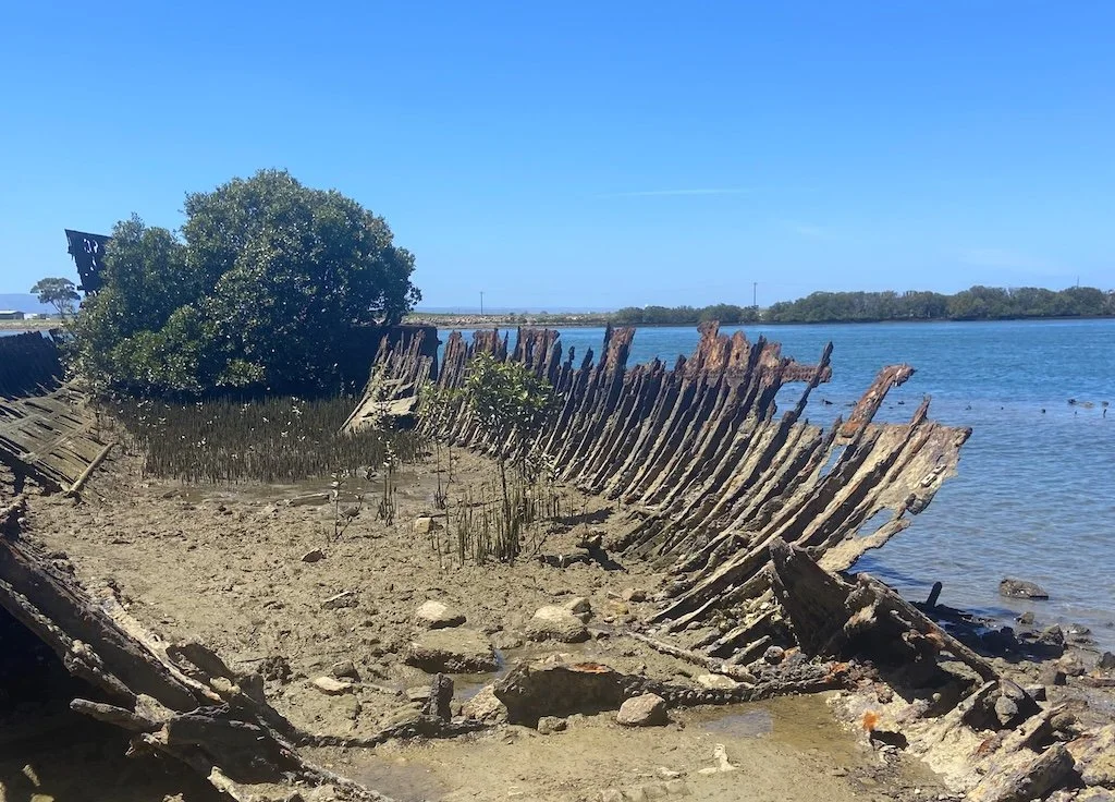 Ships graveyard Garden Island