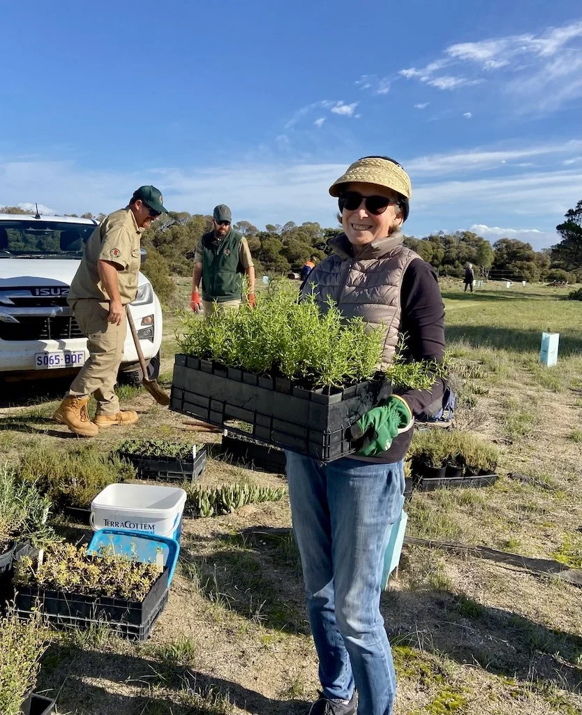 FAIBS planting event