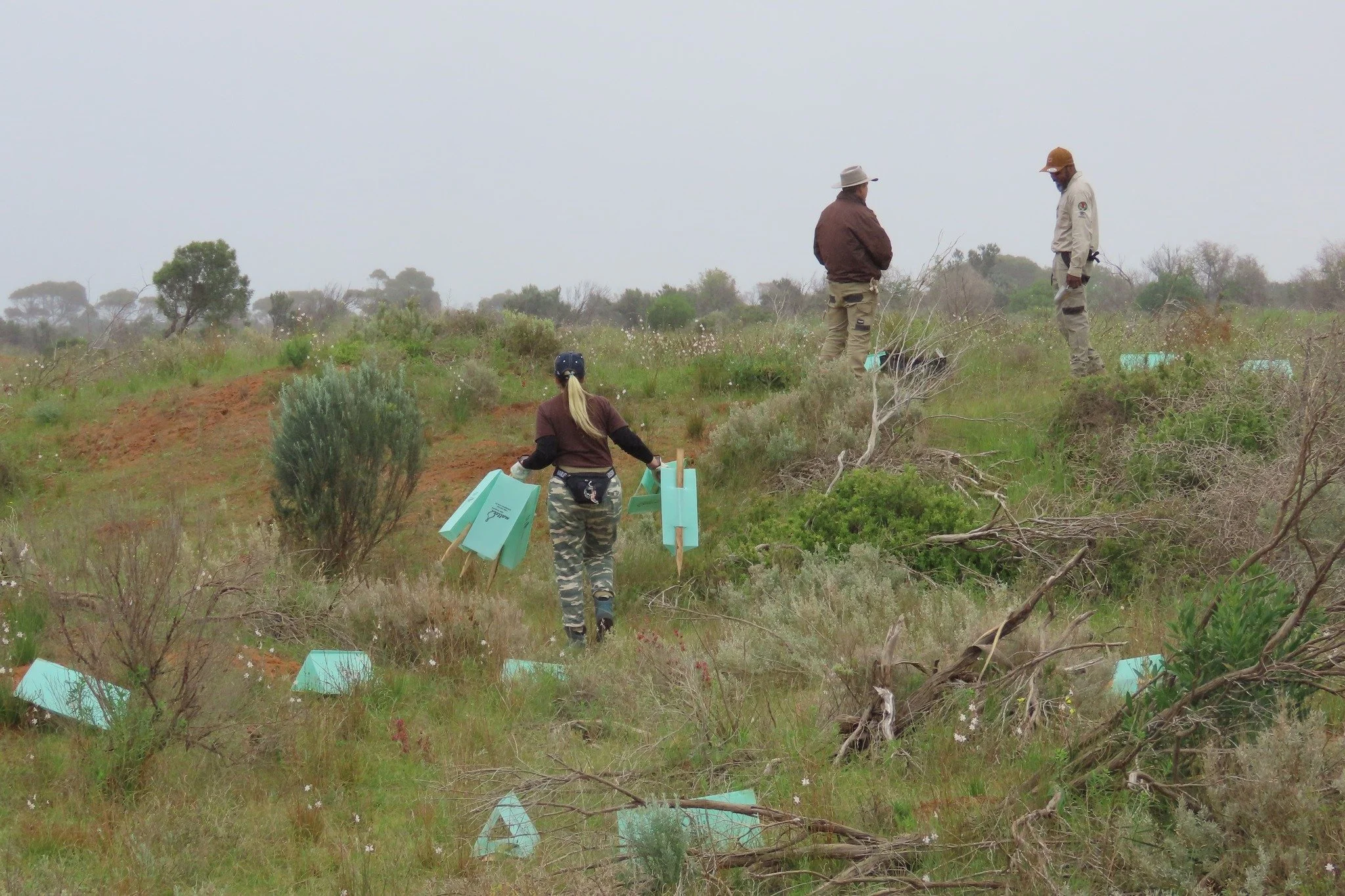 volunteer in the Adleaide International Bird Sanctuary