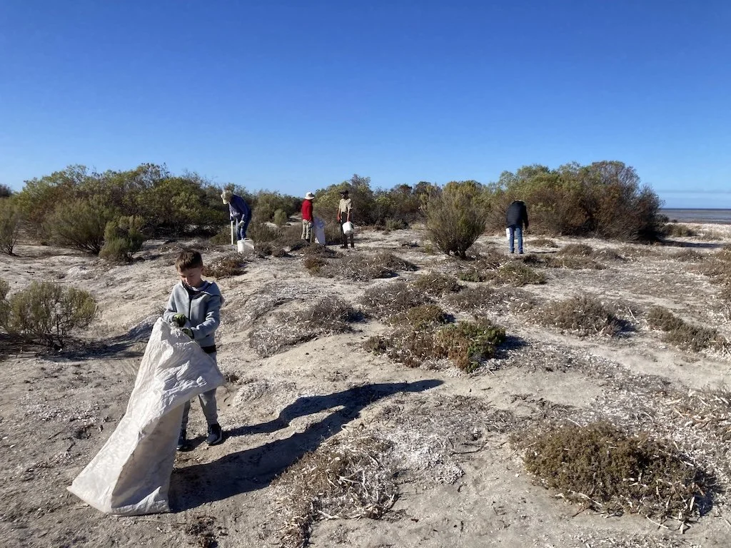 volunteer in Adelaide International Bird Sanctuary