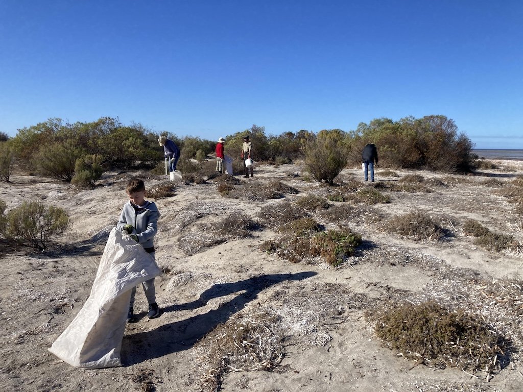 volunteer in Adelaide International Bird Sanctuary