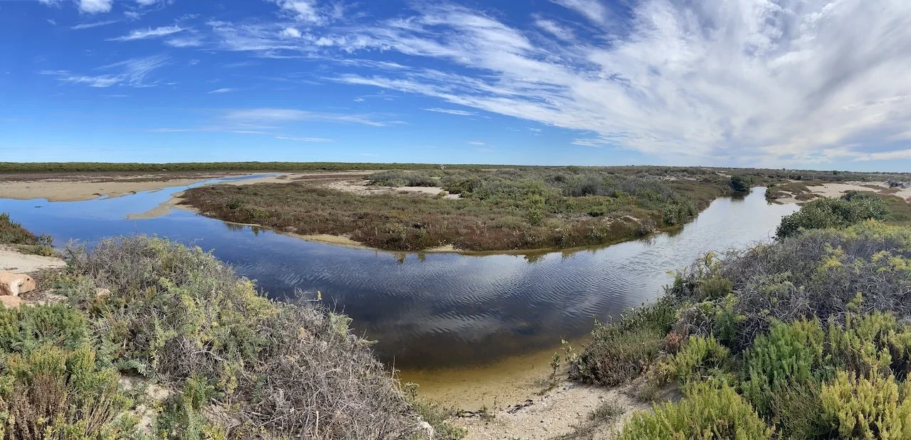 Port Gawler Beach