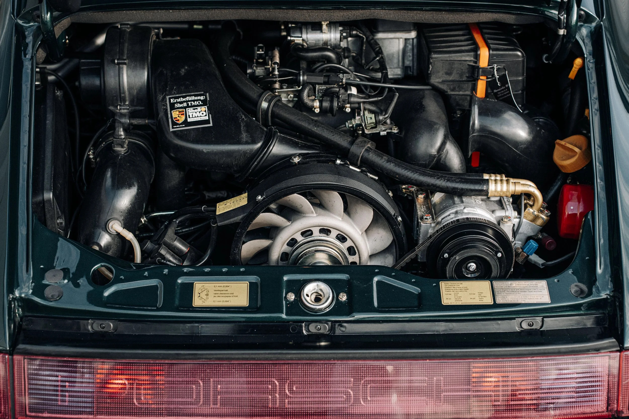 M964_2026_01_964C4_green x gold-05668.jpg