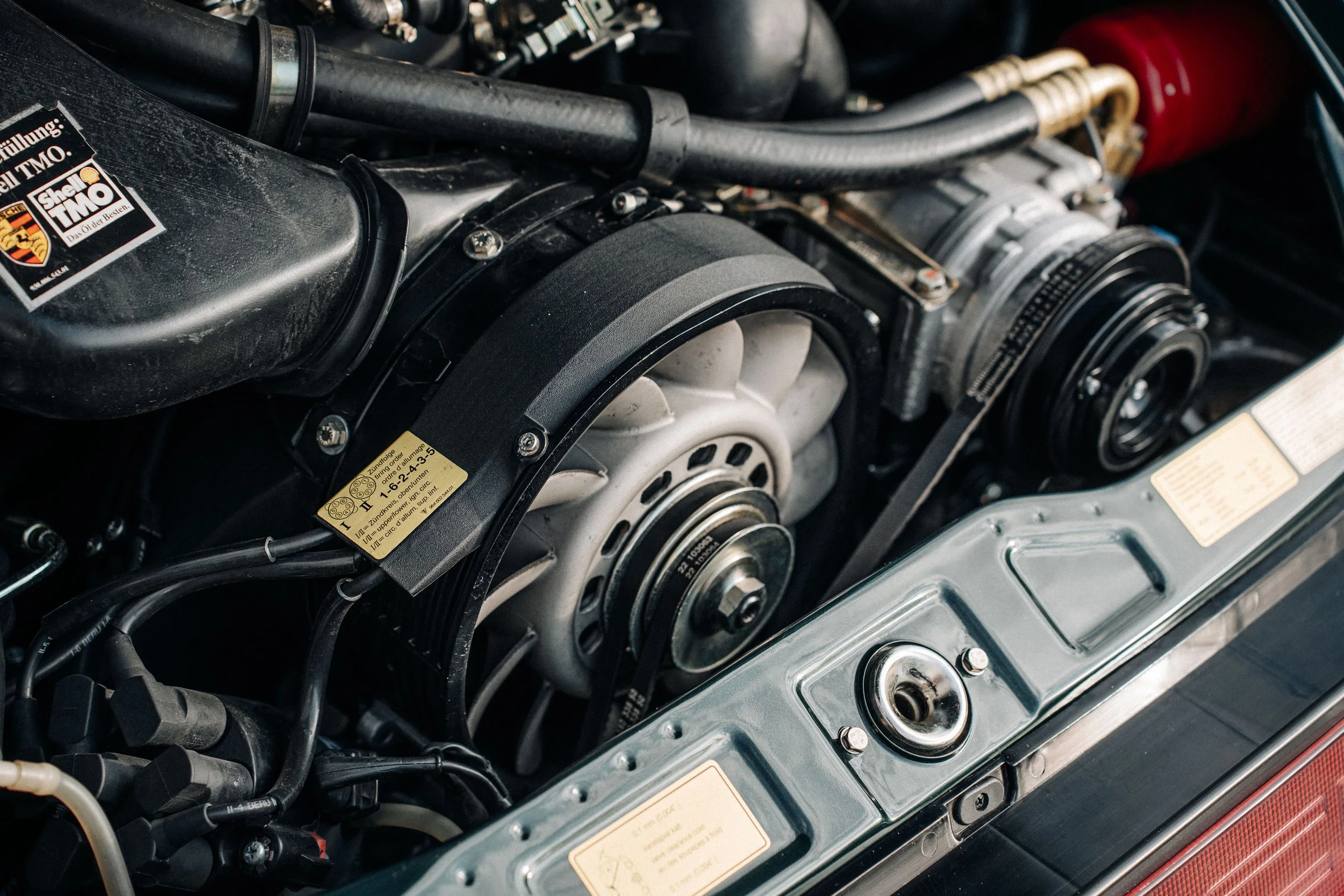 M964_2026_01_964C4_green x gold-05665.jpg