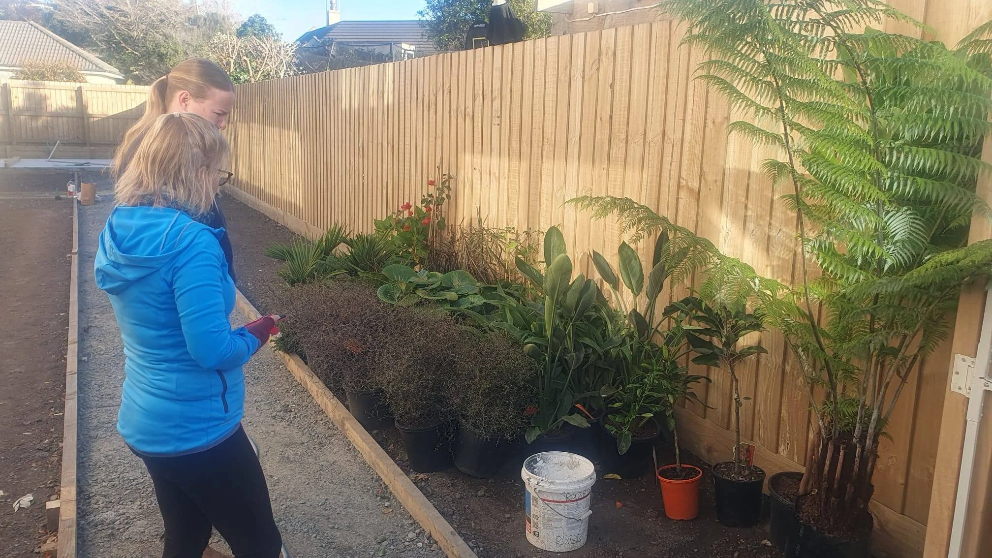 Alannah Bee plants designer garden