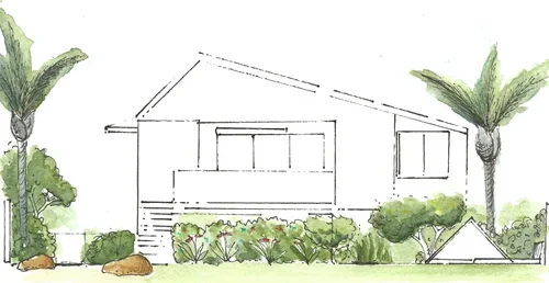tropical plan garden idea palm trees new build