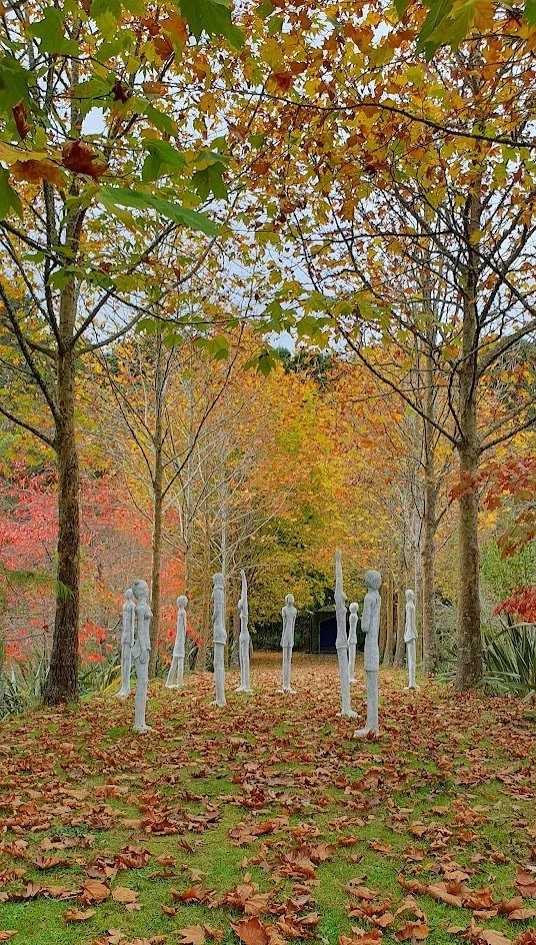 sculpture park waikato designer tree garden ideass