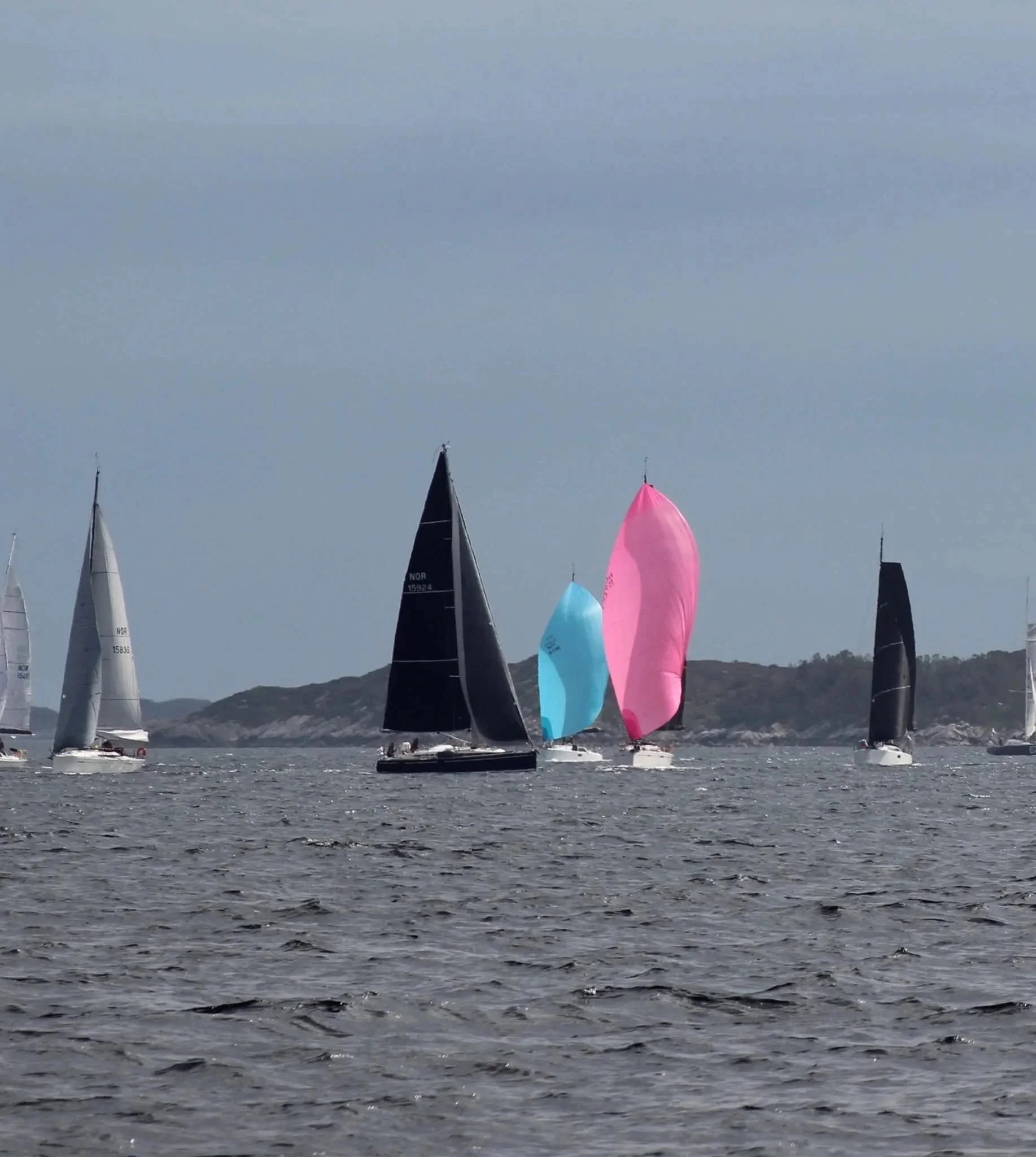 Race to the Arctic - en spektakulær premiere