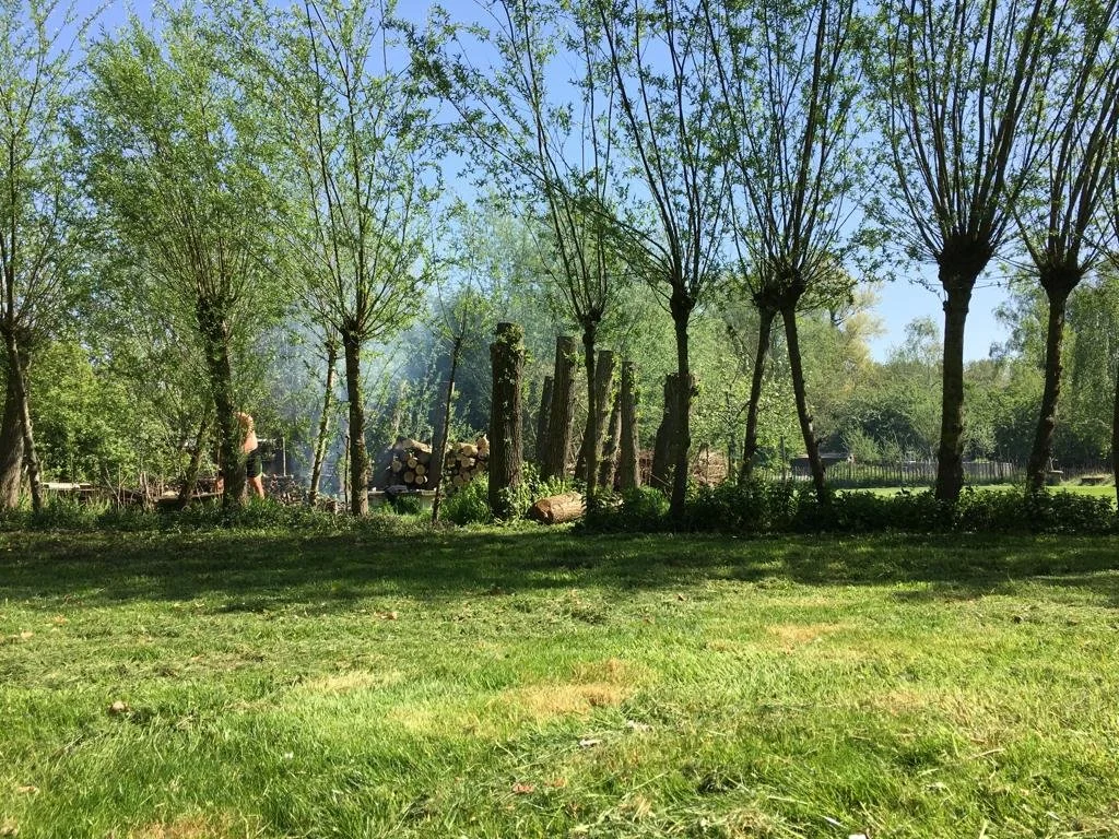 Een groene tuin met bomen, gras en een stapel hout in de achtergrond. Er lijkt iemand in de verte te werken of te spelen.