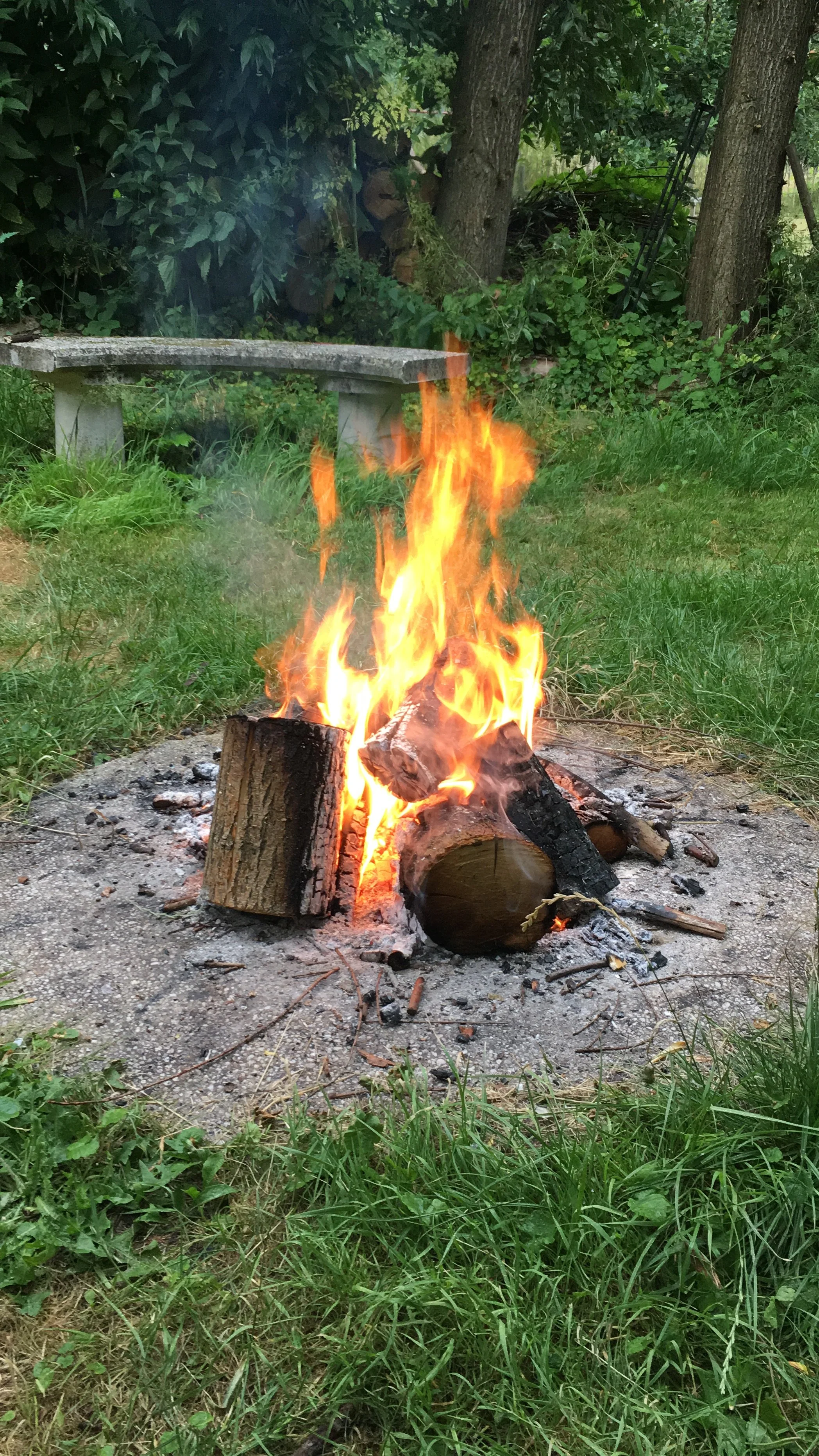 Een kampvuur met brandende houtblokken in een tuin met gras, bomen en een stenen bank.