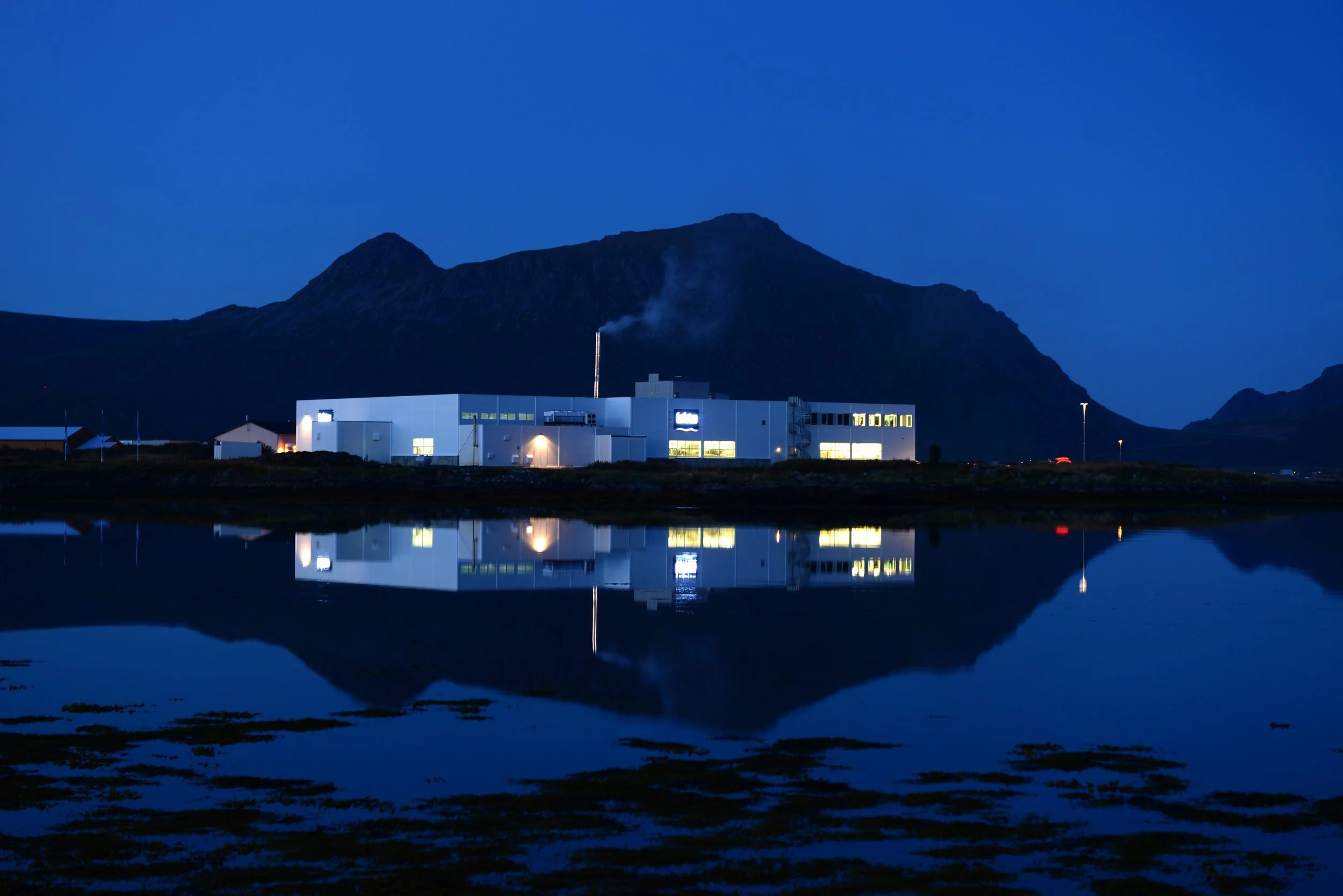 Insula Lofotprodukter Leknes