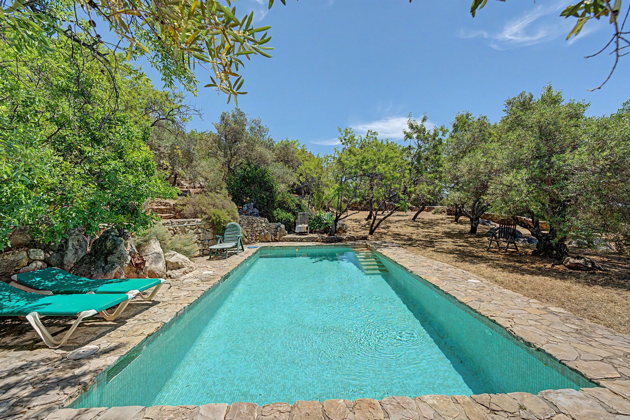 Homelens-Real-Estate-Photography-94.jpeg