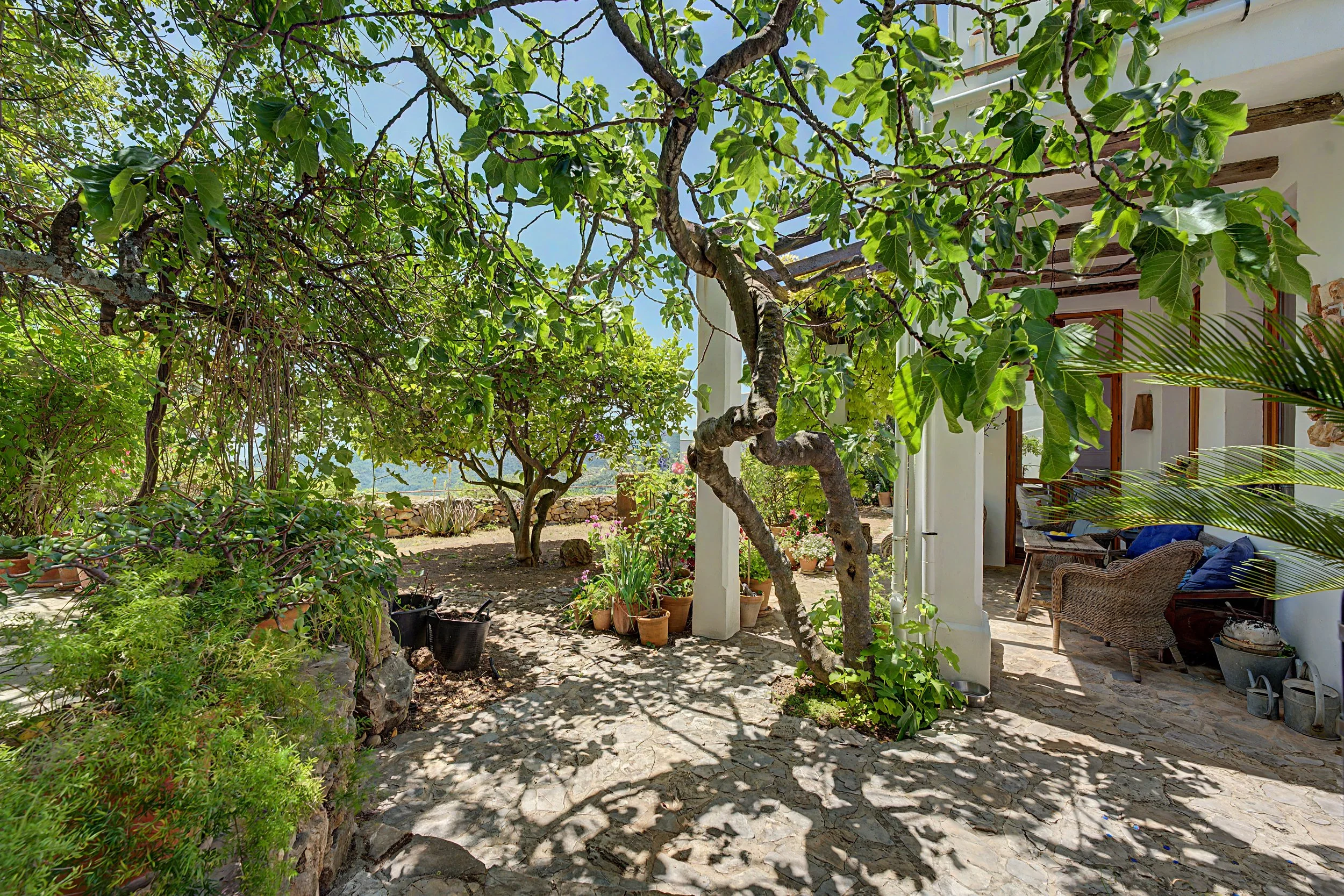 Homelens-Real-Estate-Photography-100.jpeg