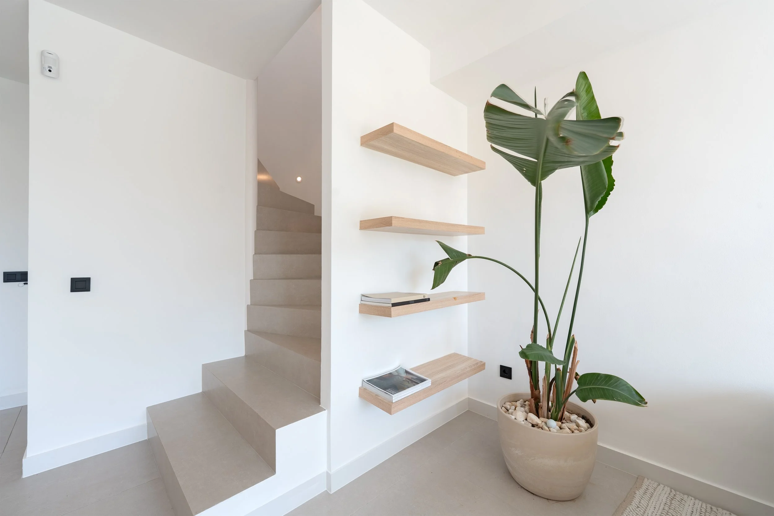 Minimalist interior space with beige staircase, three wooden floating shelves on a white wall, a large potted tropical plant, and light-colored flooring.