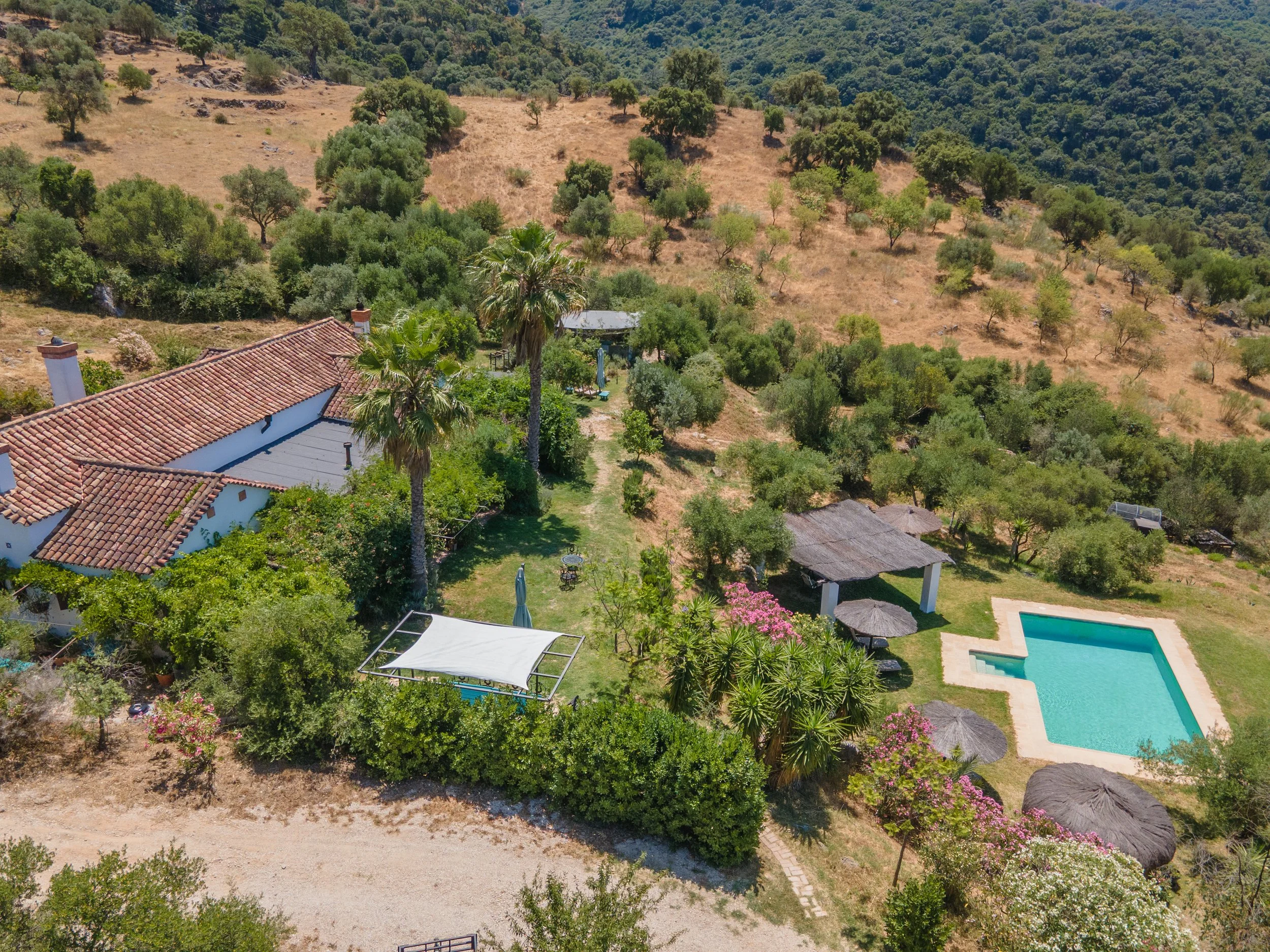 Homelens-Real-Estate-Photography-54.jpg