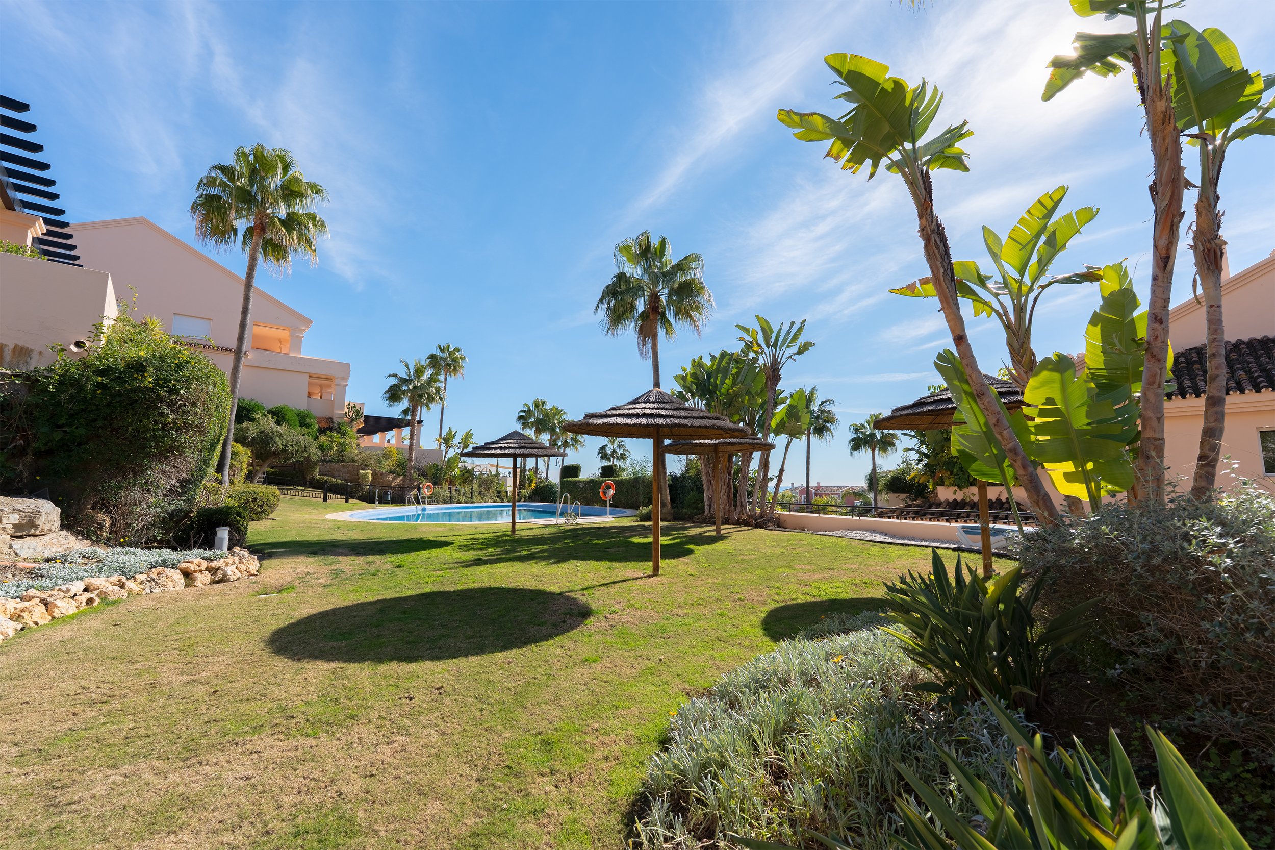 A sunny outdoor scene featuring a lush grassy area with palm trees and thatched umbrellas, a swimming pool in the background, and surrounding residential buildings under a clear blue sky.