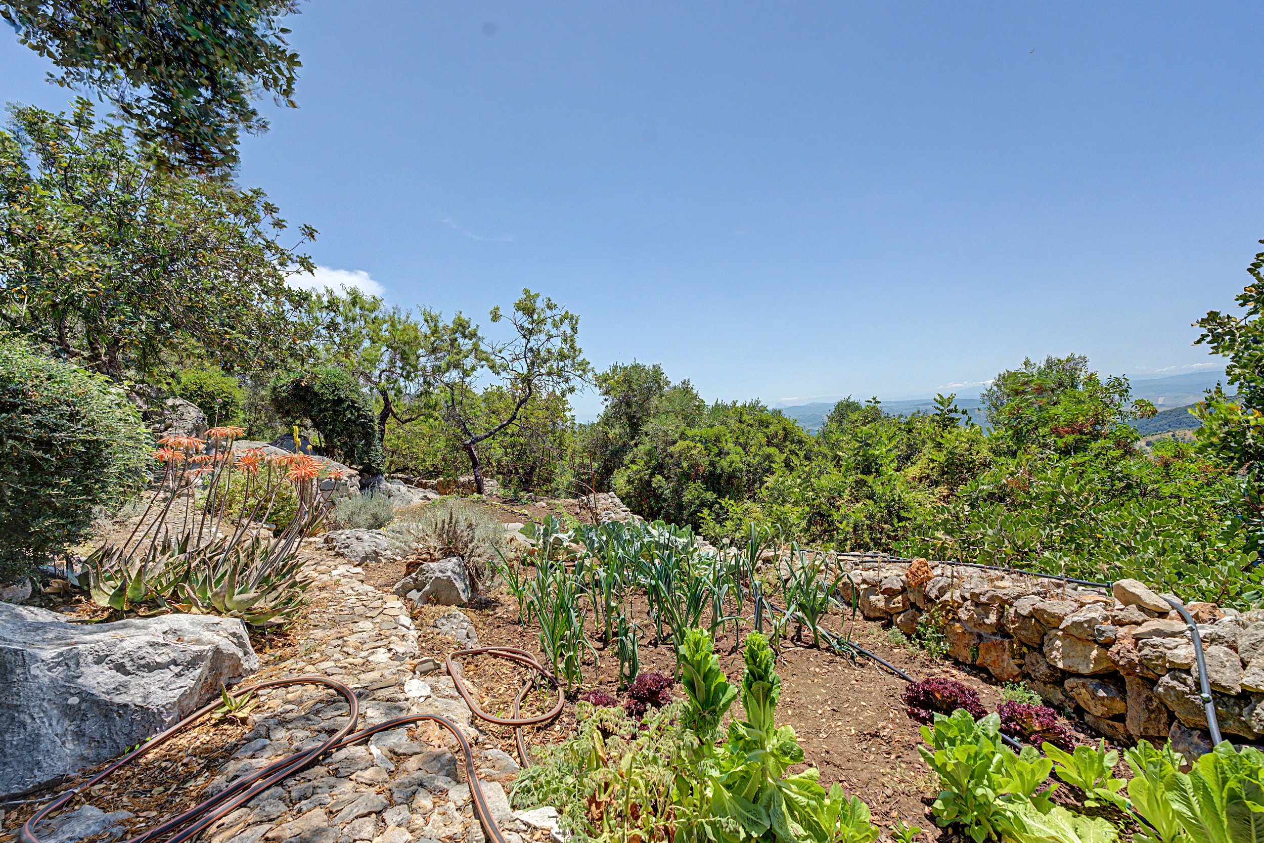 Homelens-Real-Estate-Photography-96.jpeg