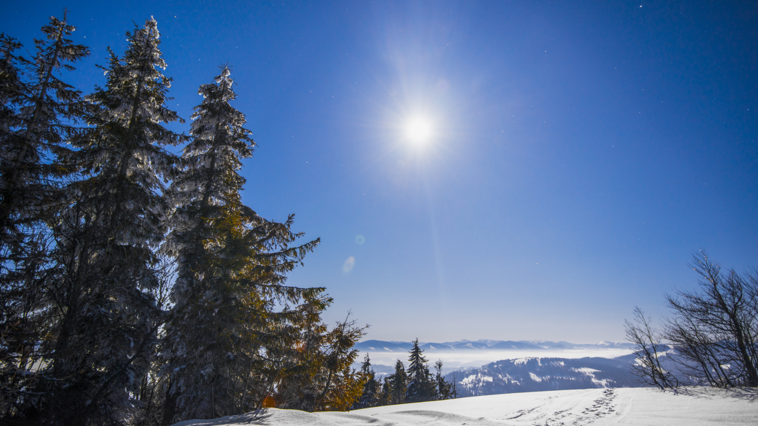 A Real Christmas Carol