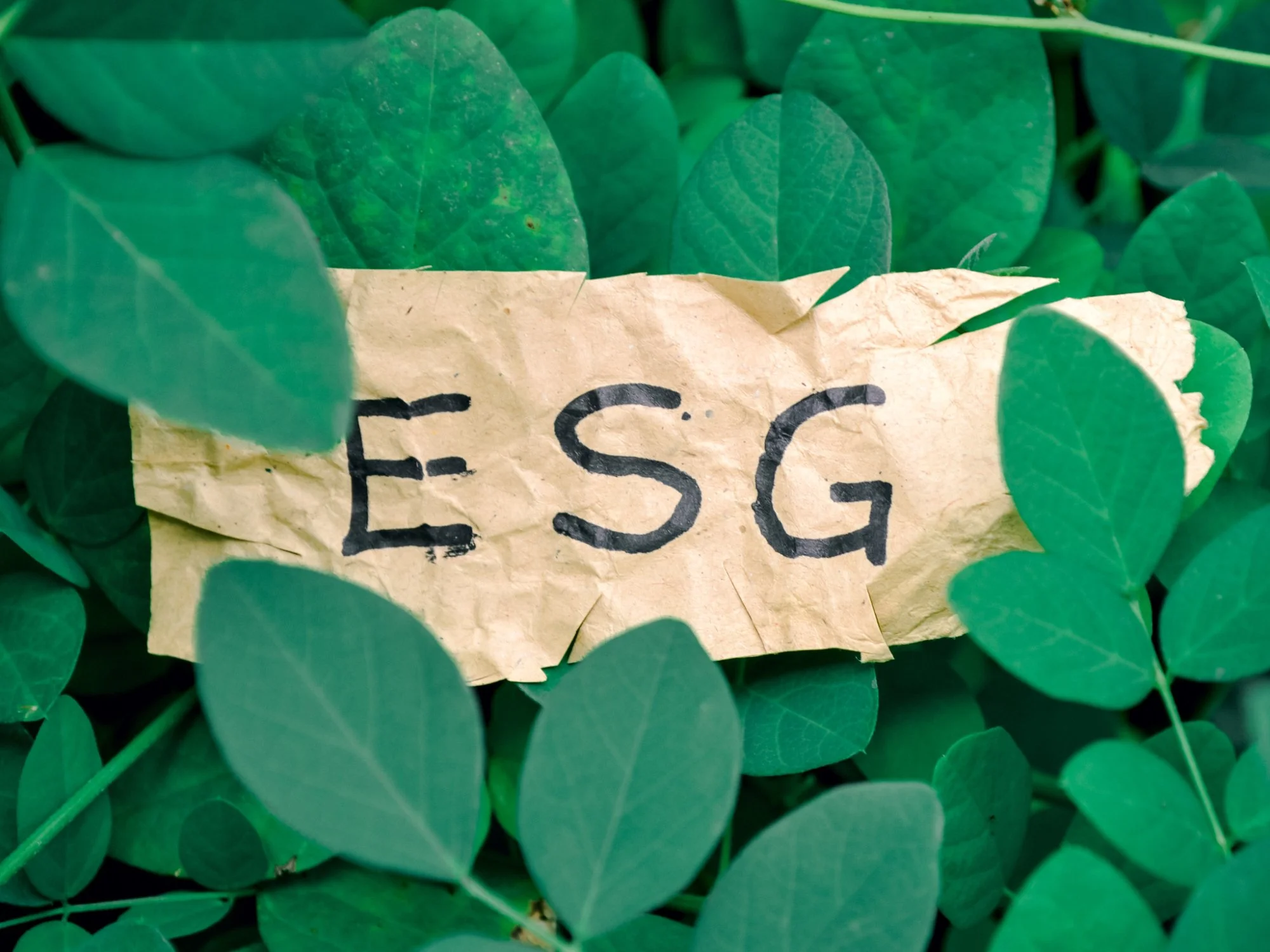 Fonds müssen ihre ESG-Berichterstattung verbessern
