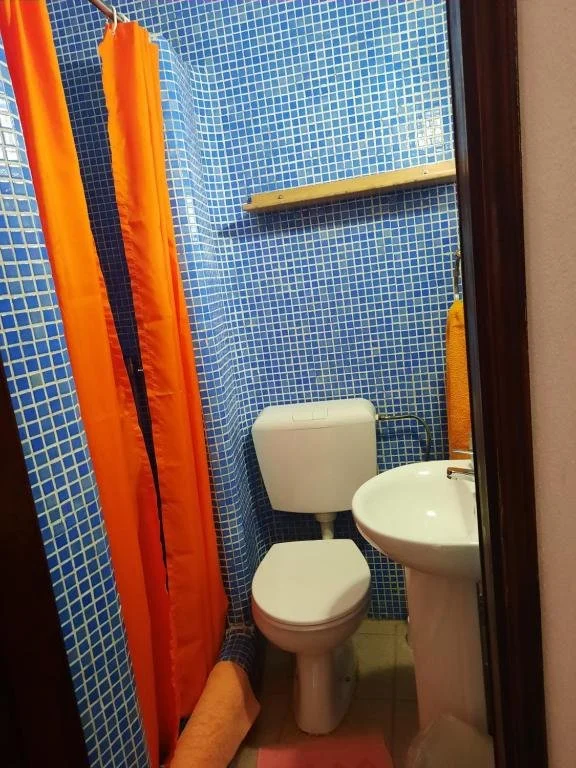 337496992.jpg