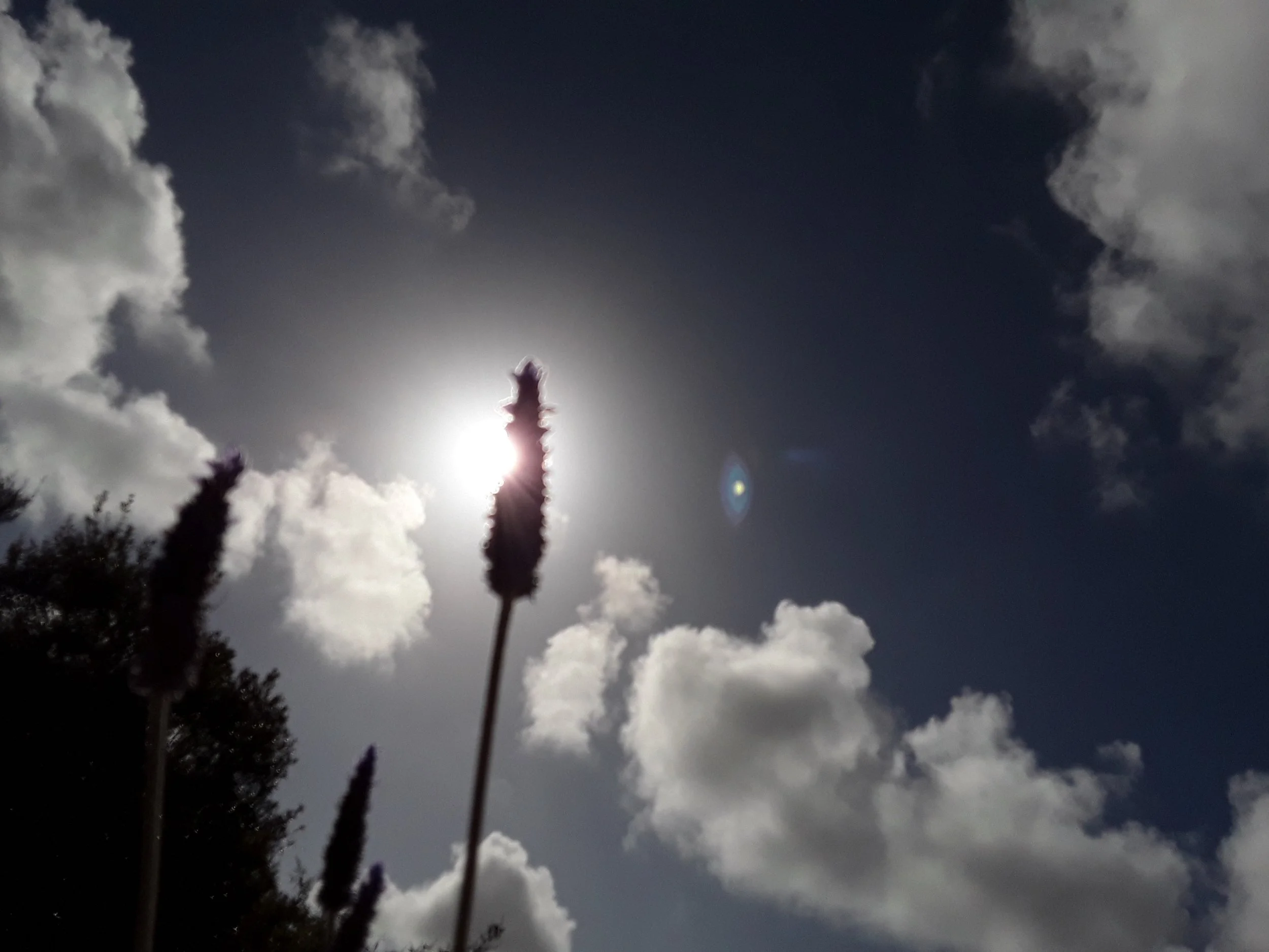 20190409_171158.jpg