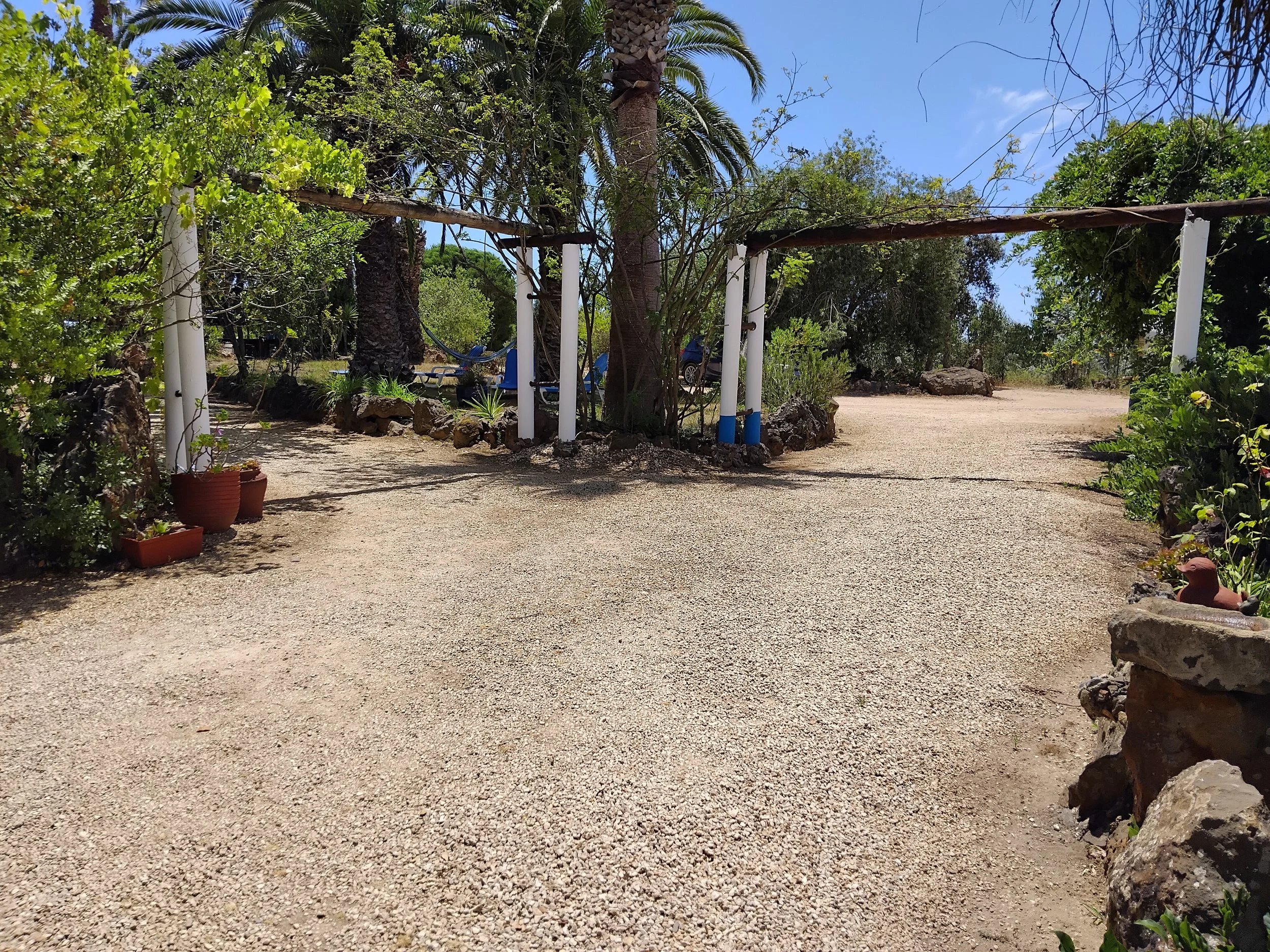 IMG_20250713_132057.jpg