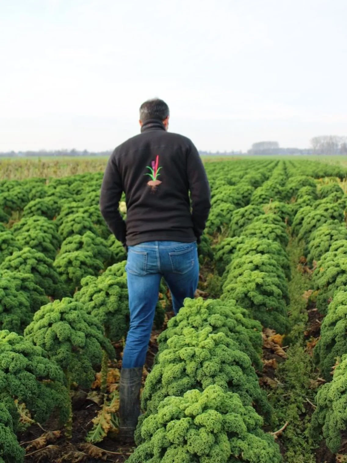 I visited @landzicht_biologisch to ask them some questions about organic farming in The Netherlands. To be a succesful farm, especially an organic farm in a colder country like The Netherlands, you need to have a good understanding of the soil, the c