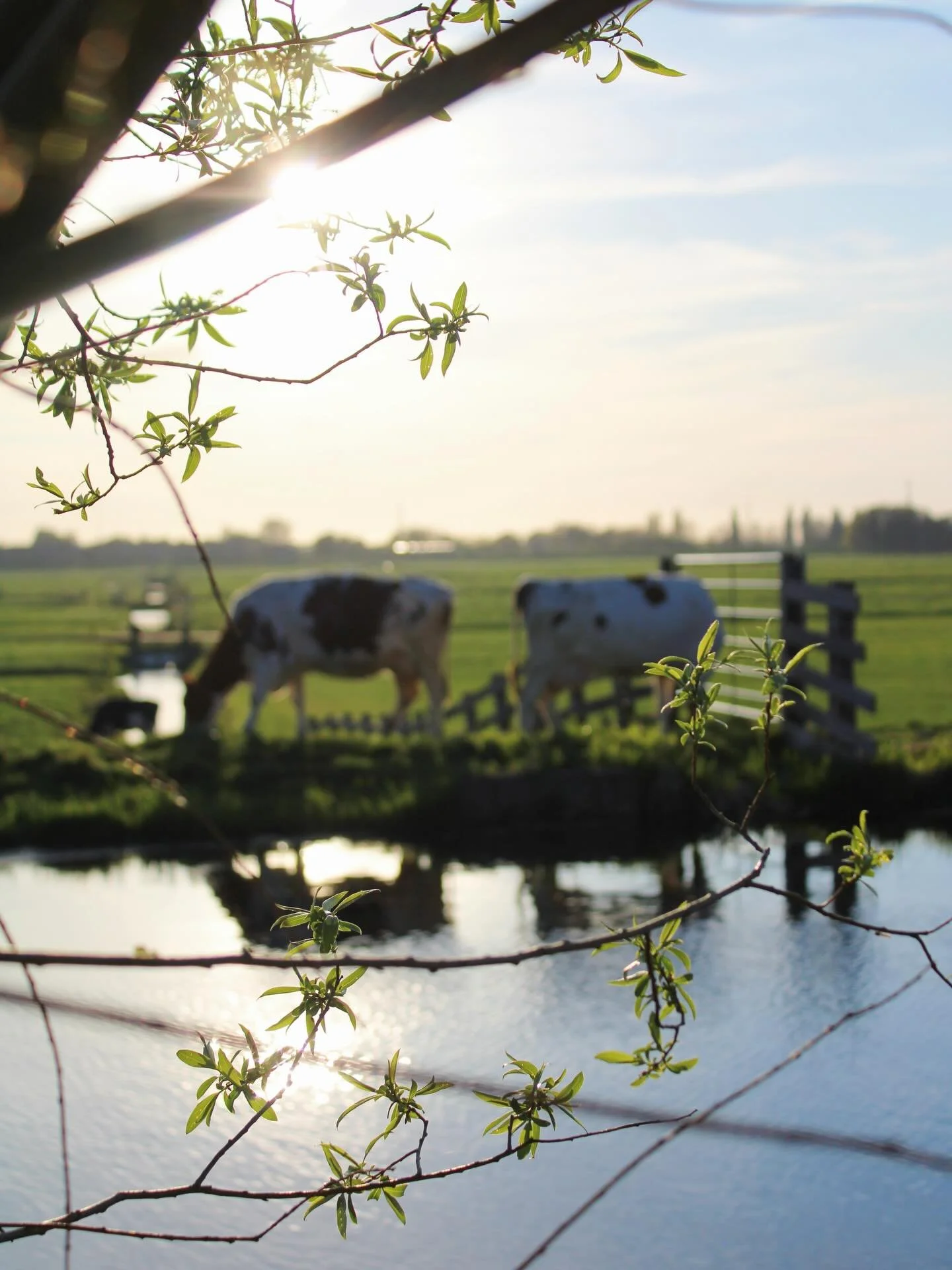 Eating is a collective act of creation. The way we grow, make, buy and eat our food creates the world we live in: it shapes our landscapes, our cultures and our bodies.

Eating locally, with the seasons, is the easiest way to celebrate and nurture th