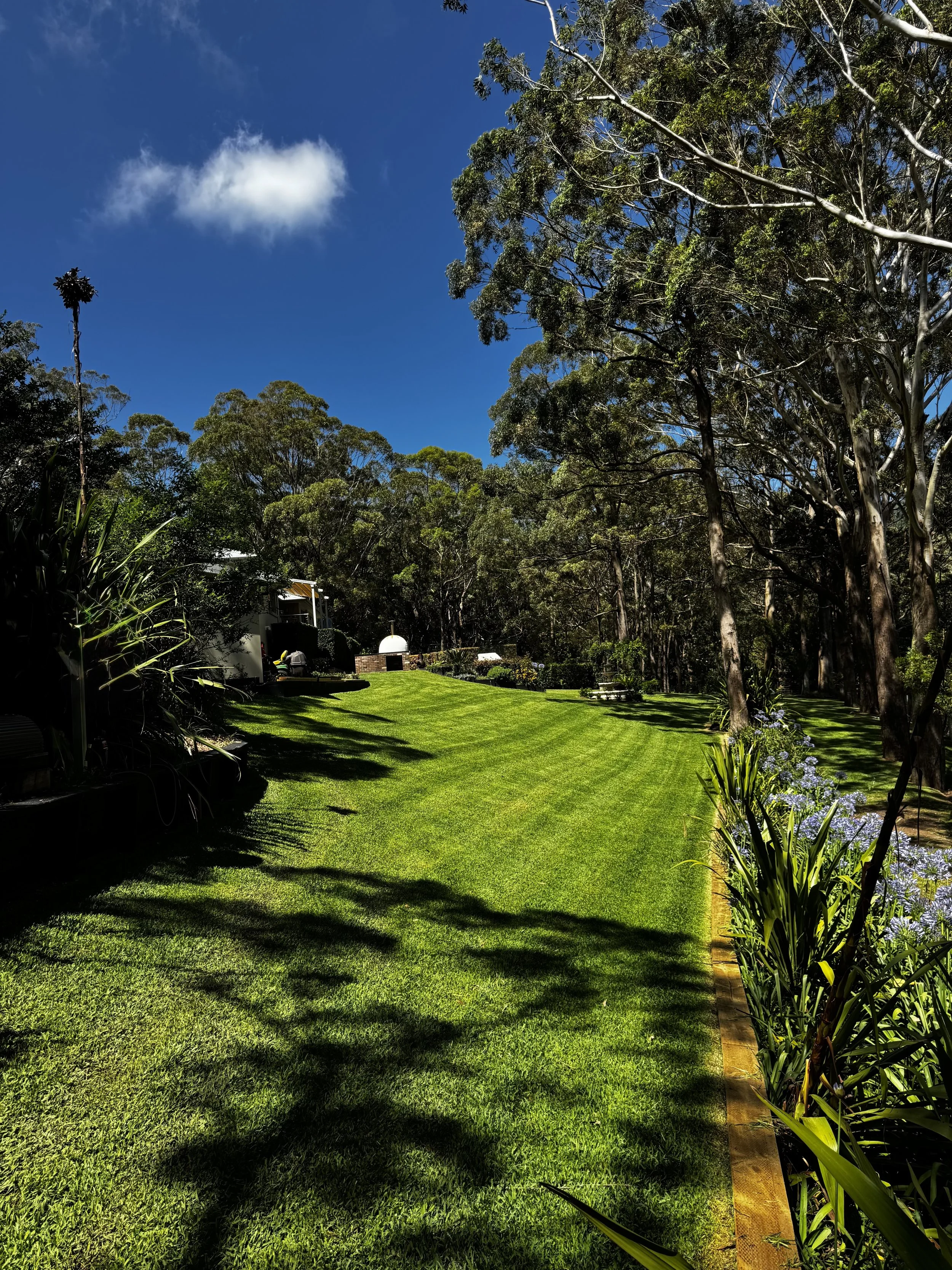 Well-maintained green lawn with shade shadows, surrounded by tall trees and flowering plants under a bright blue sky with a few clouds.