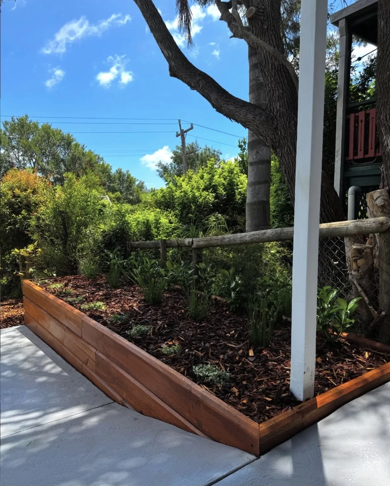 A garden bed with plants, surrounded by mulch and a wooden border, with a large tree and green bushes in the background under a blue sky.