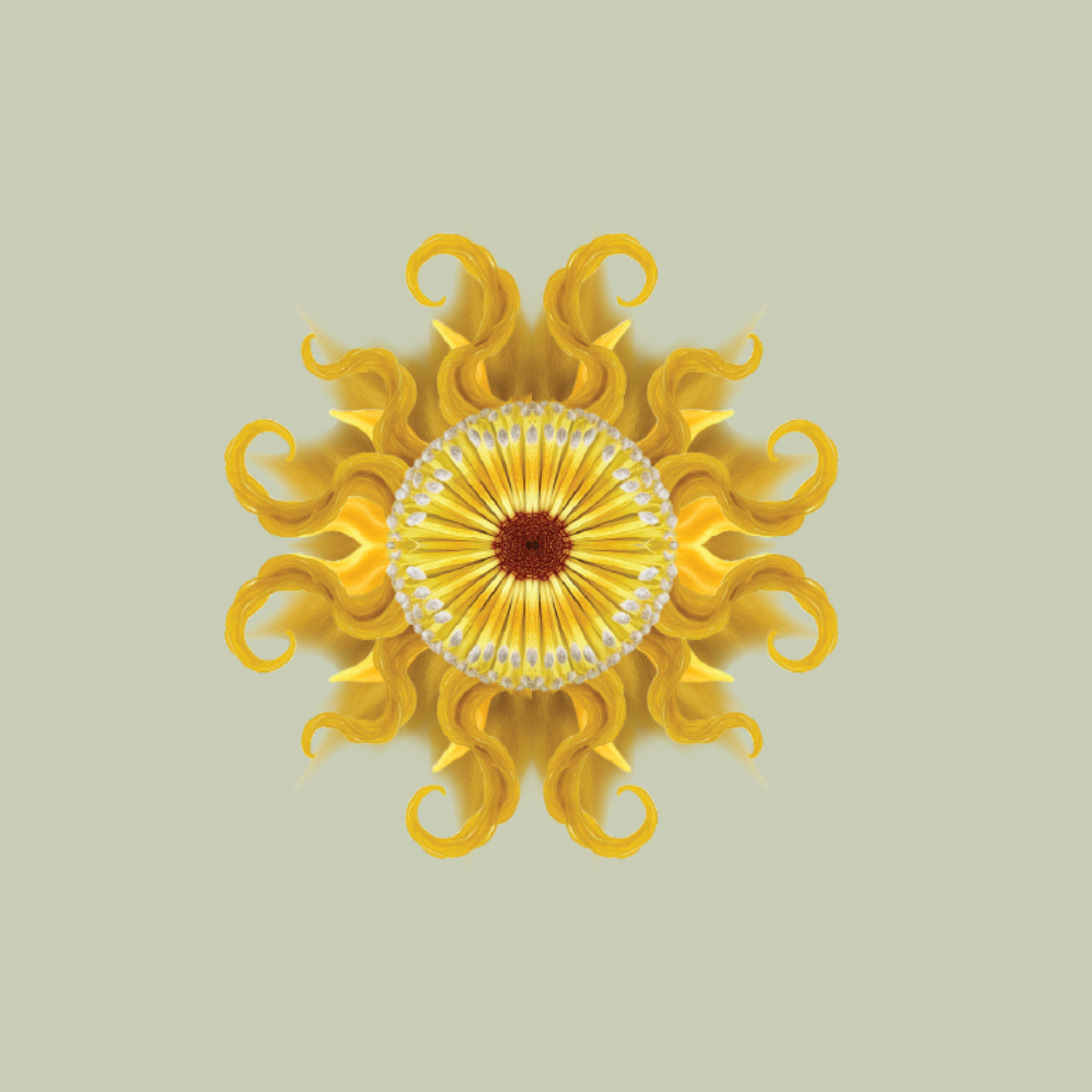 Oyster Thief Chardonnay 2025