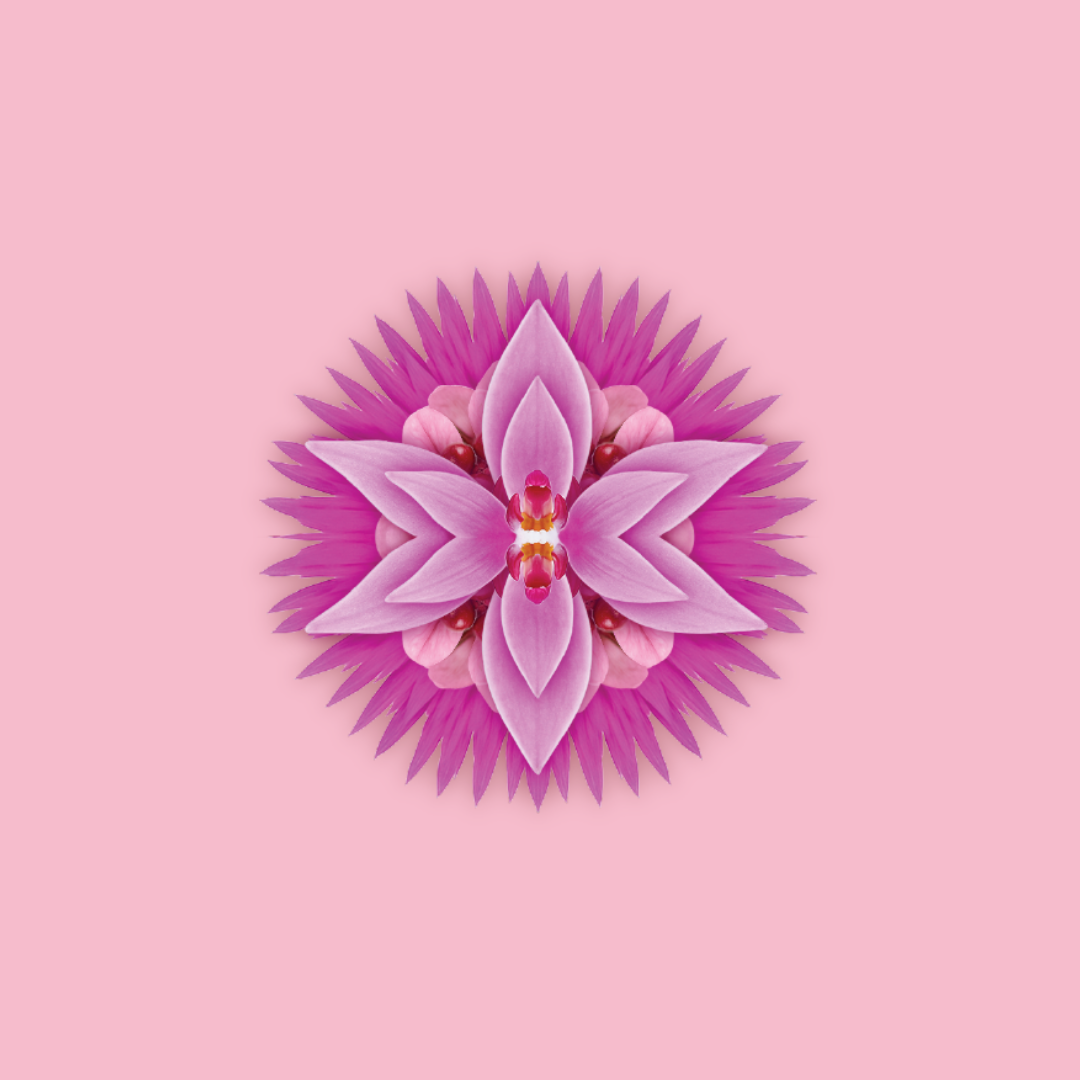 Daphne Pinot Saignee