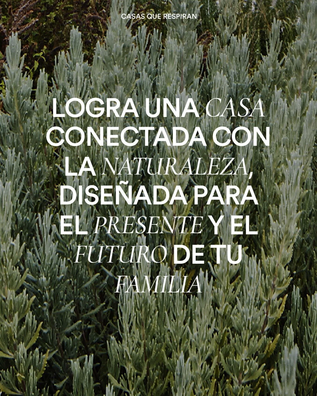 Somos un equipo formado por arquitectos y especialistas que dise&ntilde;amos de modo eficiente y sostenible!  Nos gustar&iacute;a escucharte y acompa&ntilde;arte en este proceso tan bonito.

Si tienes un terreno en las afueras de Madrid, una idea, o 