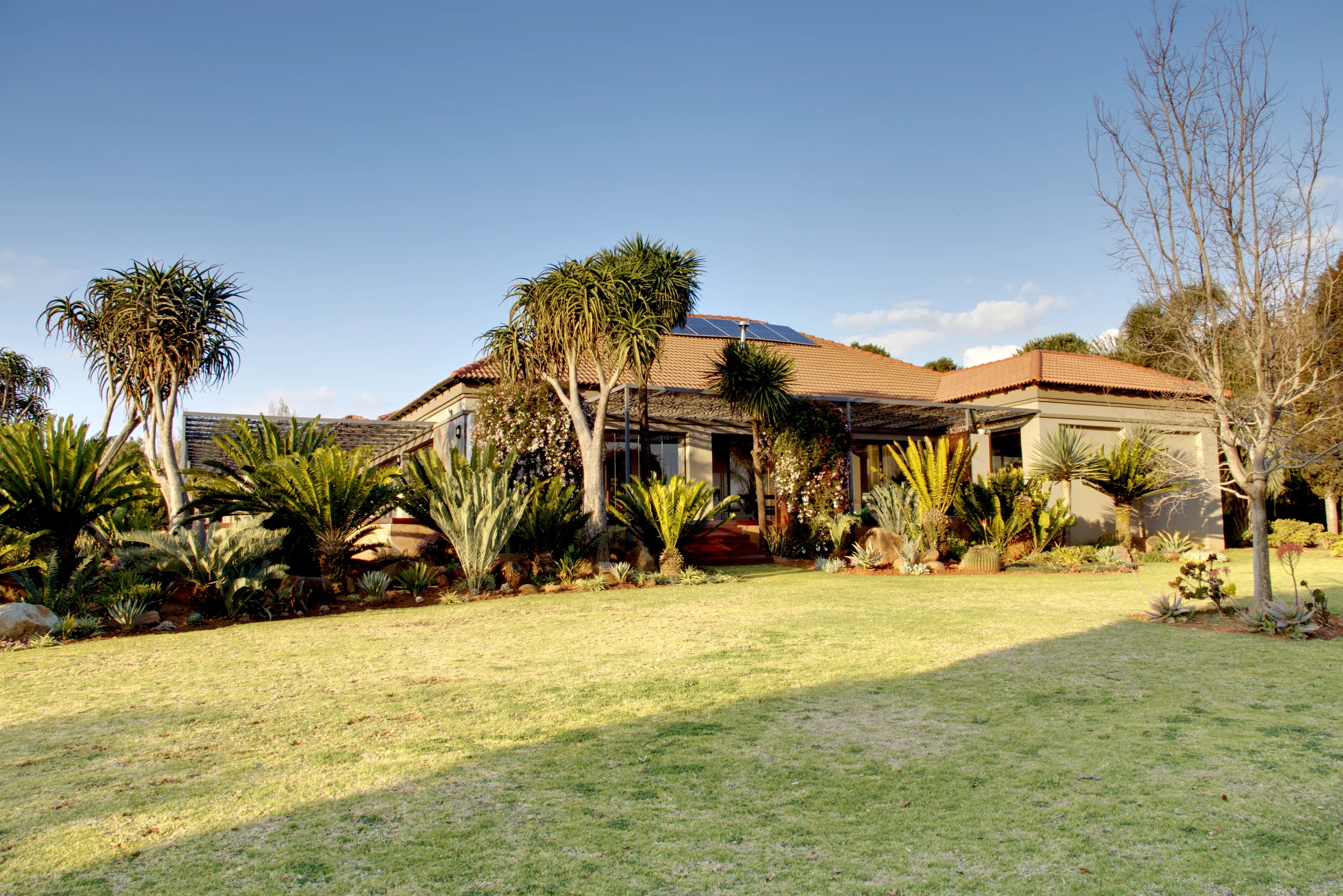 12 Front Garden.webp