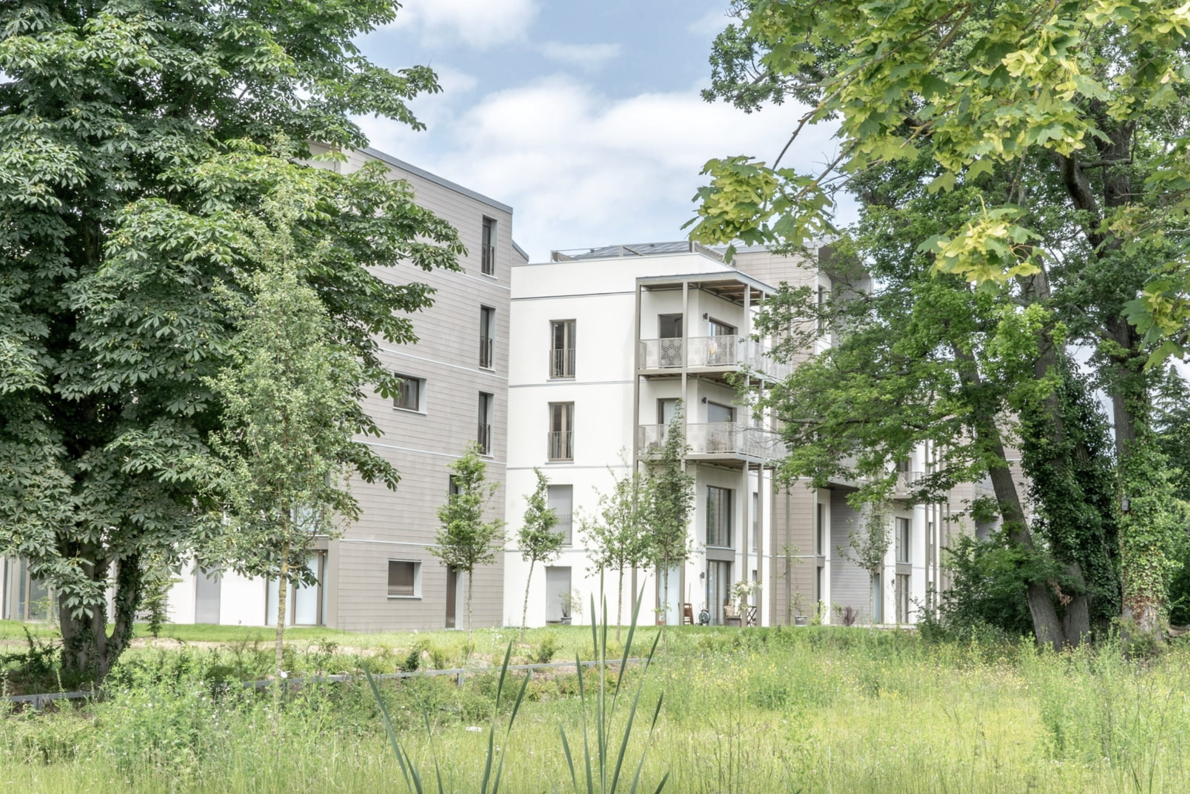 Capture d’écran 2026-02-12 à 8.34.14 PM.png