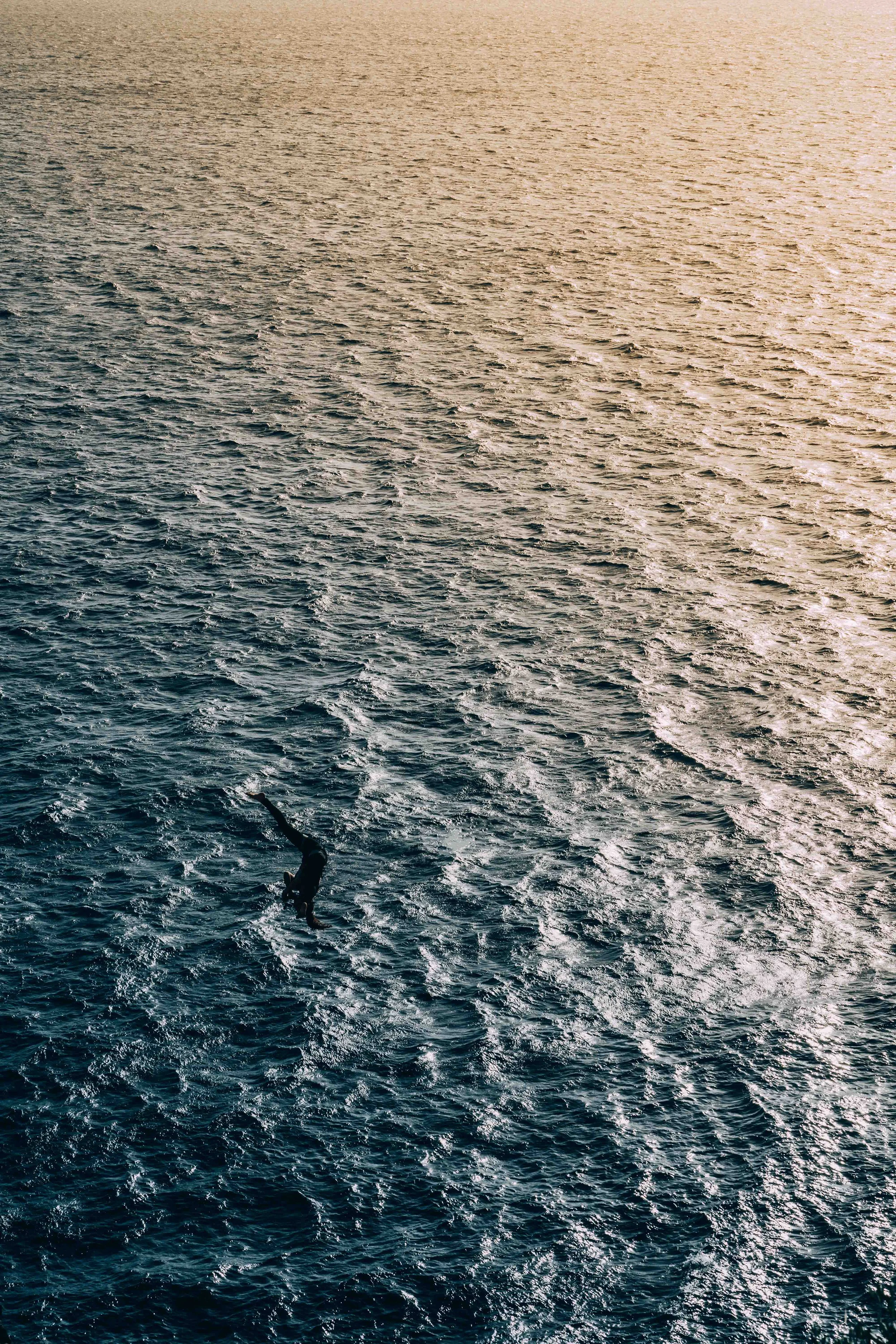 Un dauphin sautant hors de l'eau dans l'océan au coucher du soleil.