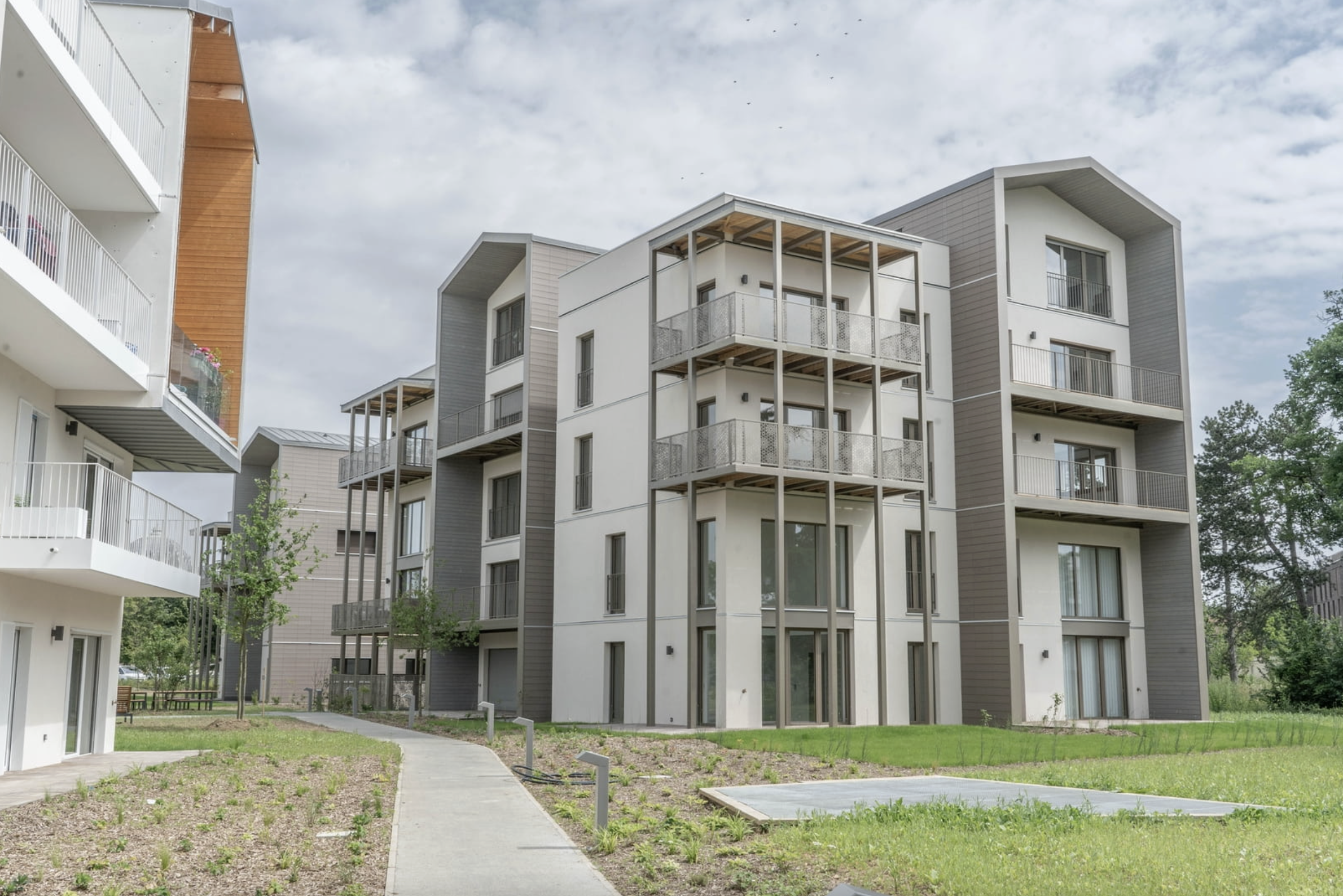 Capture d’écran 2026-02-12 à 8.33.47 PM.png