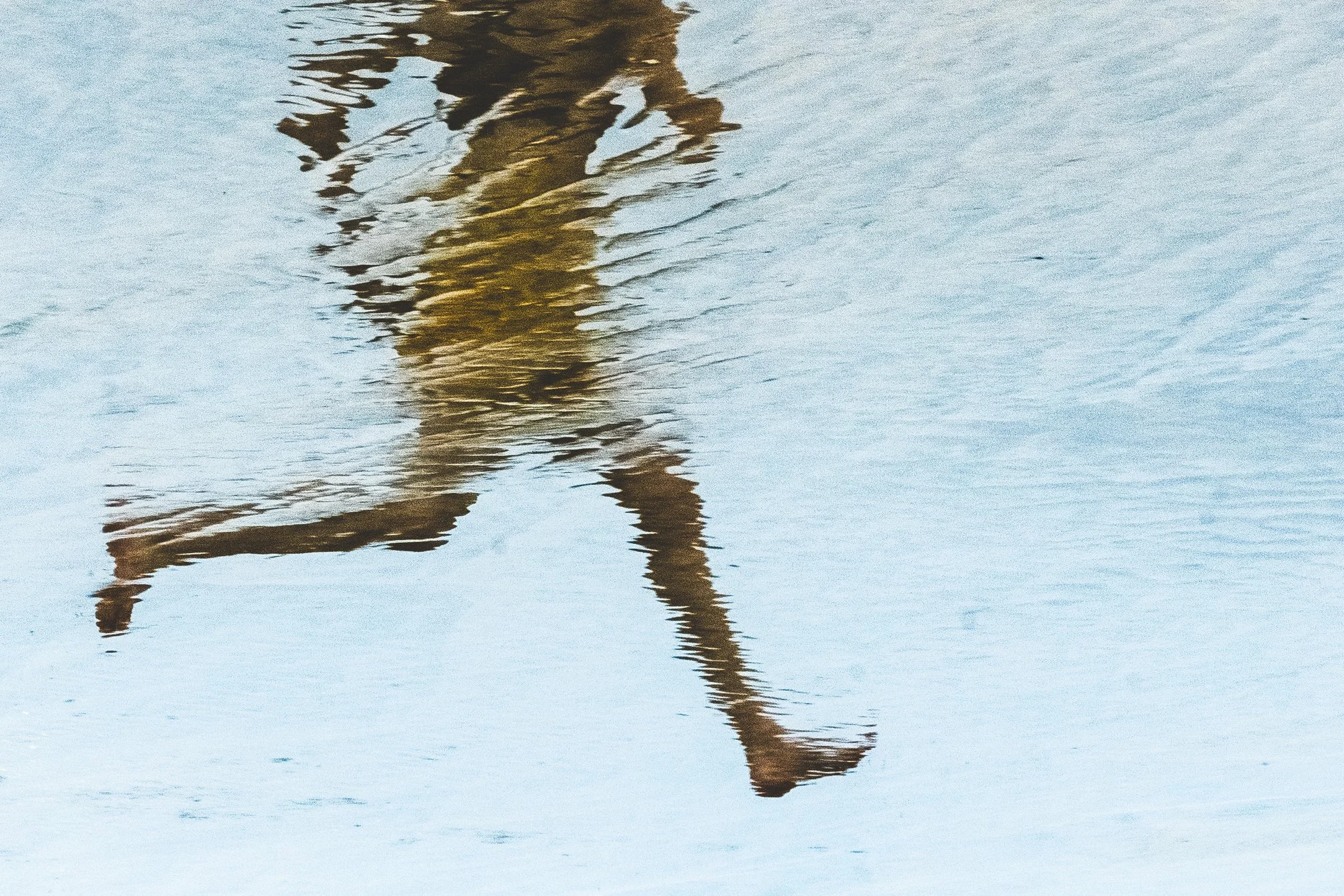 Reflet d'une personne marchant sur la plage dans l'eau, vue de côté.