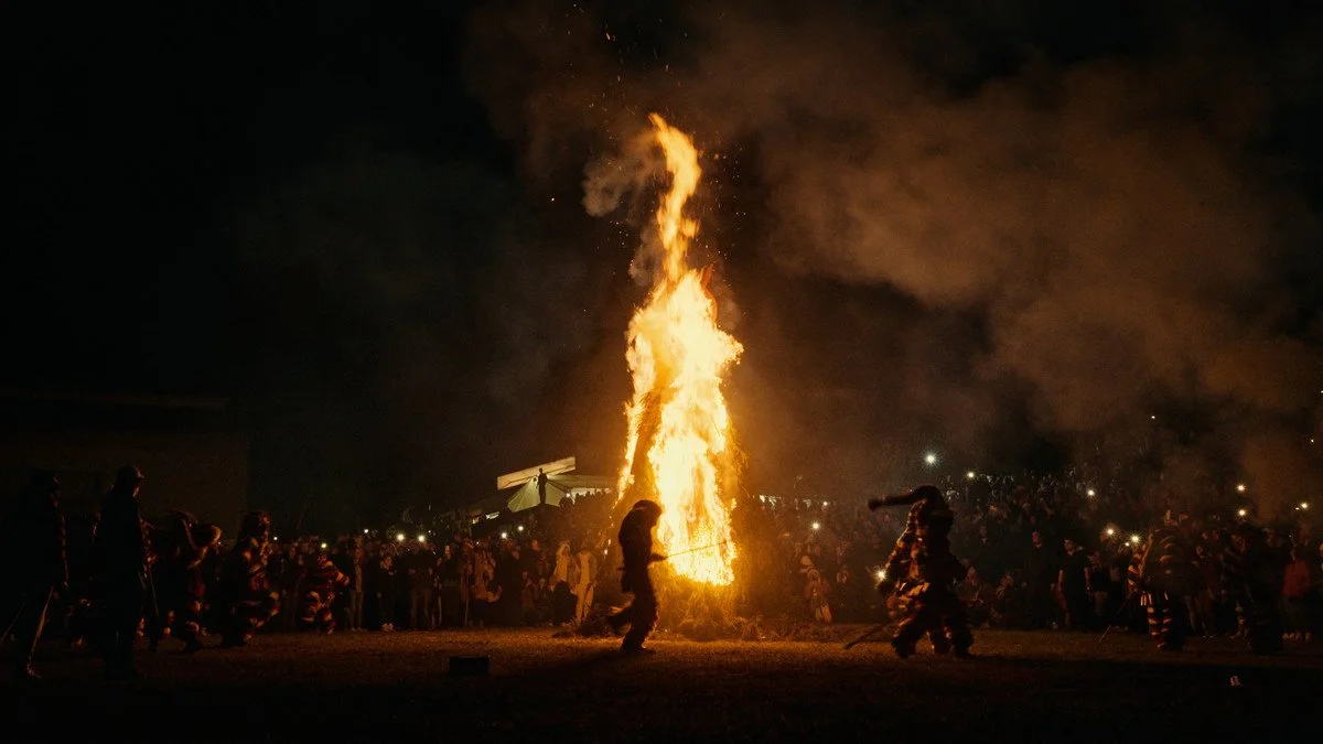 Somewhere Between the Tree and the Forest