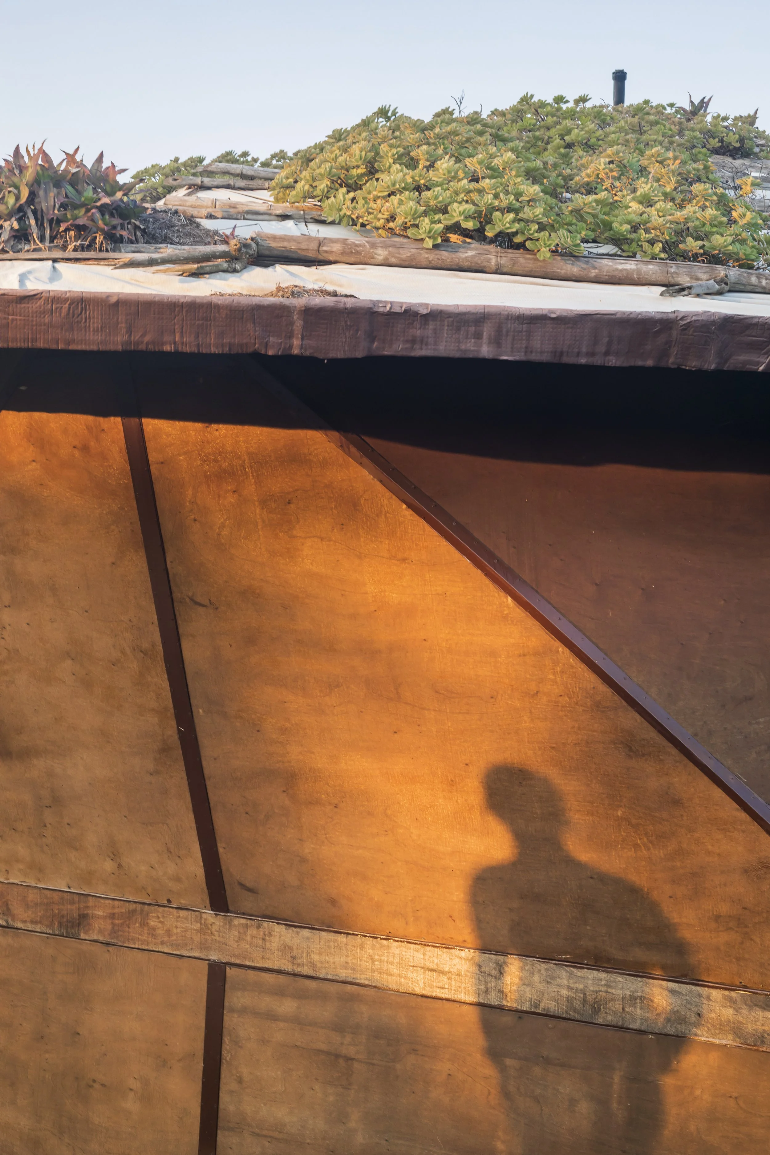 PRO ARQUITECTURA PARAGUAY architecture design PROSA
Sombra de una persona en una pared de color beige, con vegetación en el techo y cielo al fondo.