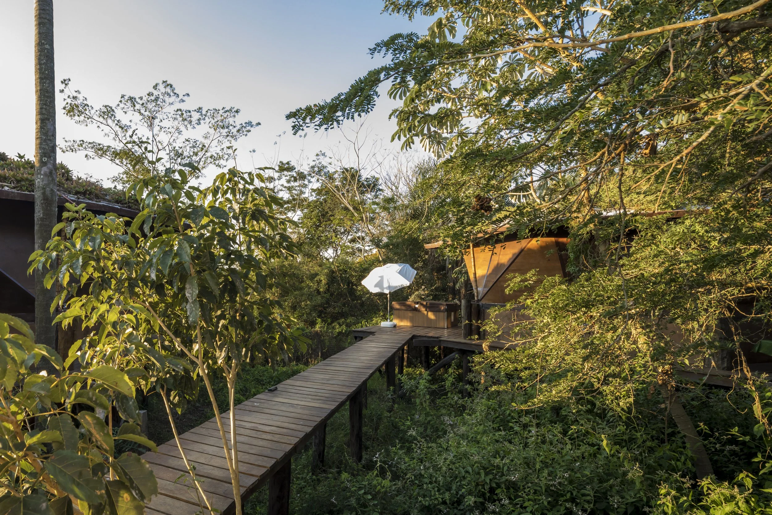PRO ARQUITECTURA PARAGUAY architecture design PROSA
Sendero de madera hacia una cabaña en medio del bosque, con un paraguas blanco en la entrada.
