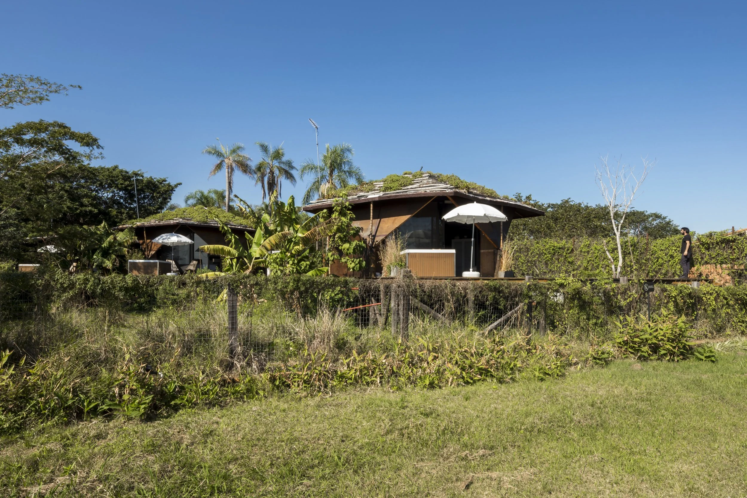 PRO ARQUITECTURA PARAGUAY architecture design PROSA
Casas de madera en un entorno natural con plantas tropicales, cercas de malla y un cielo azul brillante.