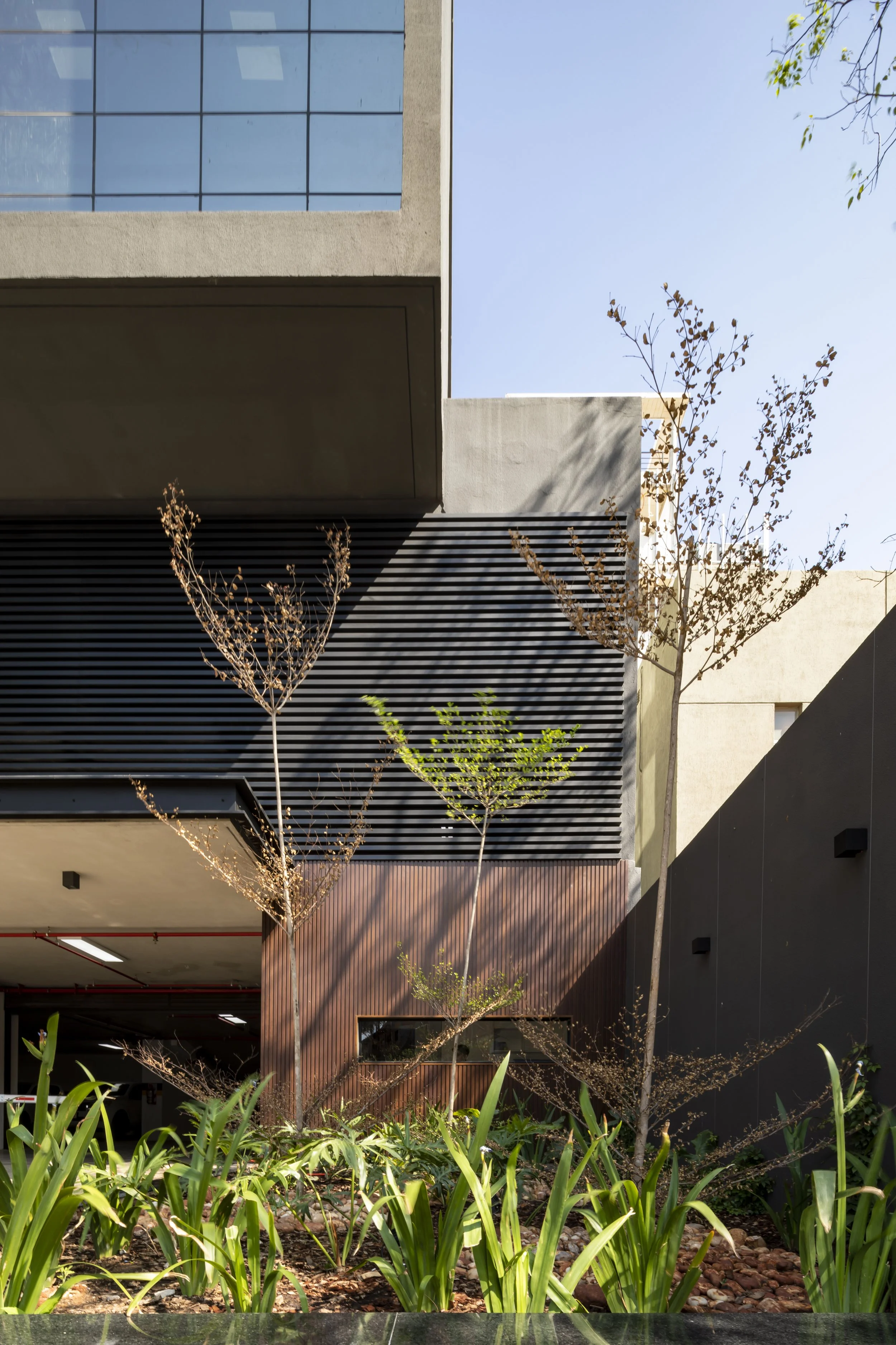 PRO ARQUITECTURA PARAGUAY architecture design PROSA
Fachada moderna de edificio con plantas y árboles en primer plano, vista del cielo y ventanas de vidrio en la parte superior.