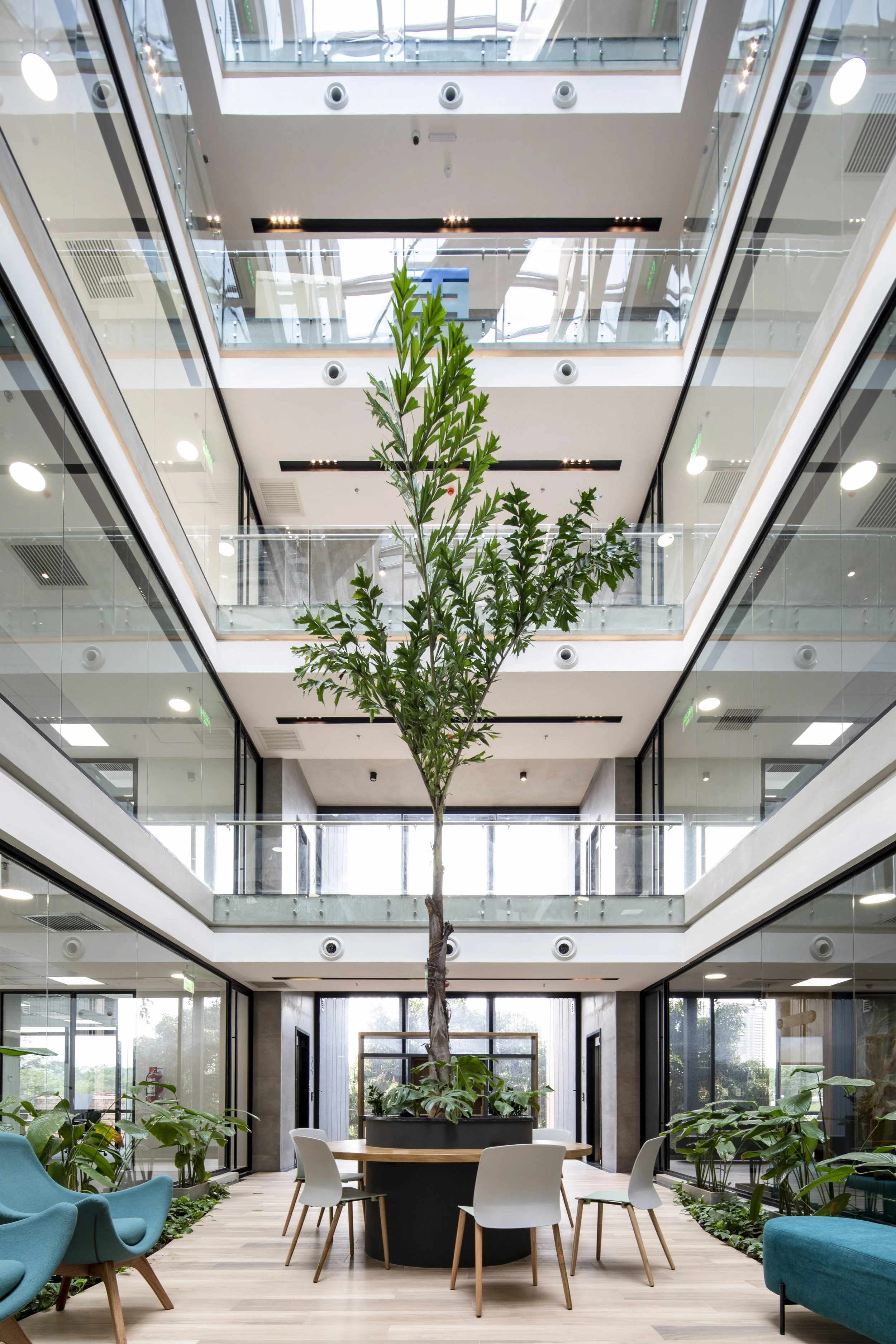 PRO ARQUITECTURA PARAGUAY architecture design PROSA
Interior de un edificio moderno con un árbol grande en un macetero en el centro, rodeado de sillas y plantas decorativas, con varias plantas en los alrededores.